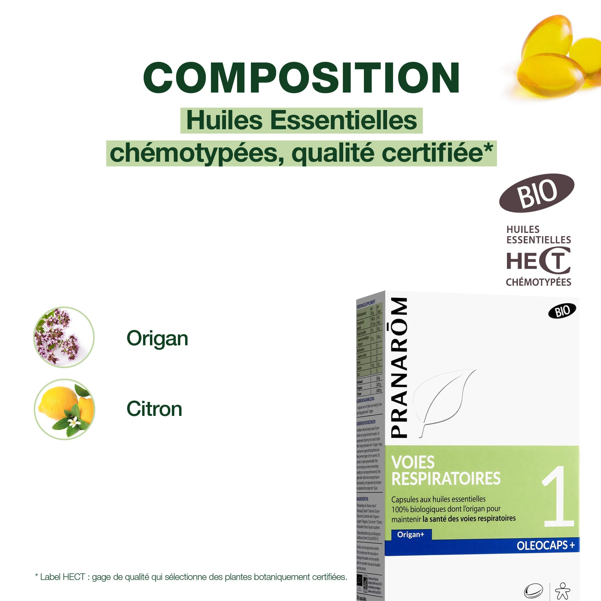 Oleocaps 1 - Capsules Voies respiratoires - Bio - Image 3