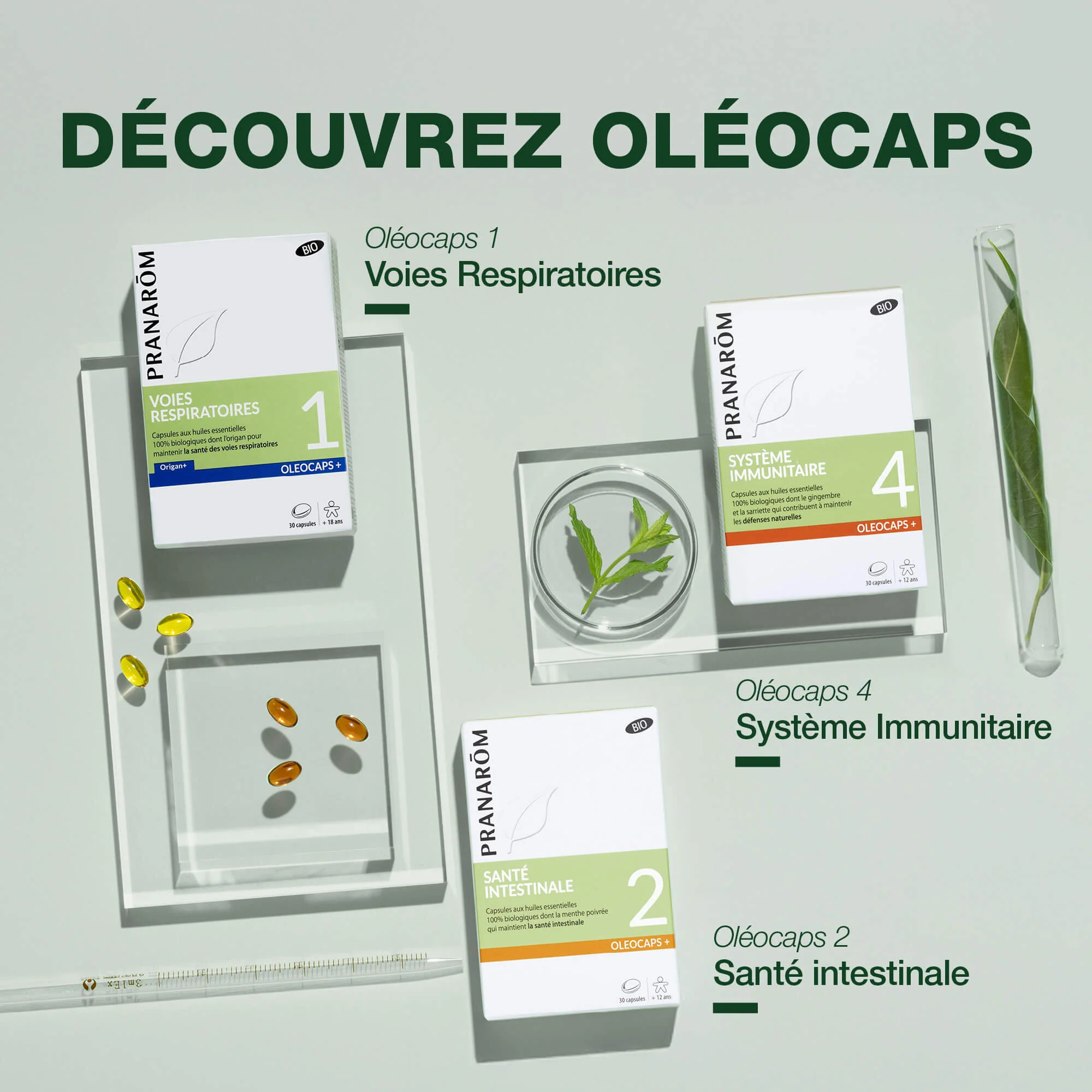 Oleocaps 1 - Capsules Voies respiratoires - Bio - Image 6