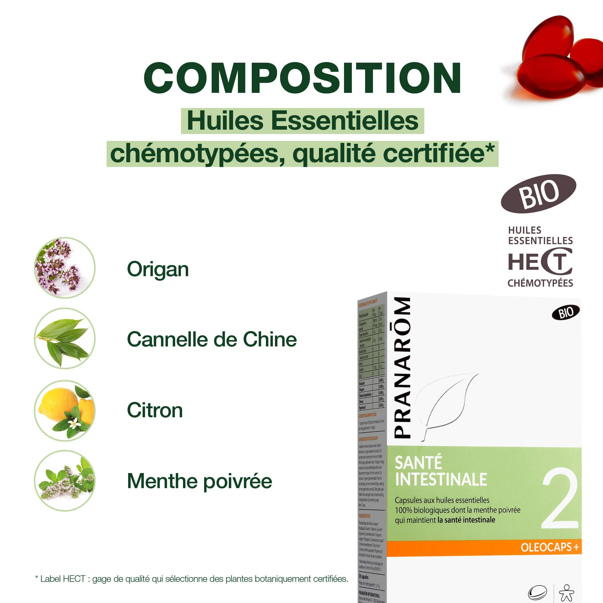 Oleocaps 2 - Santé intestinale - Bio - Image 3