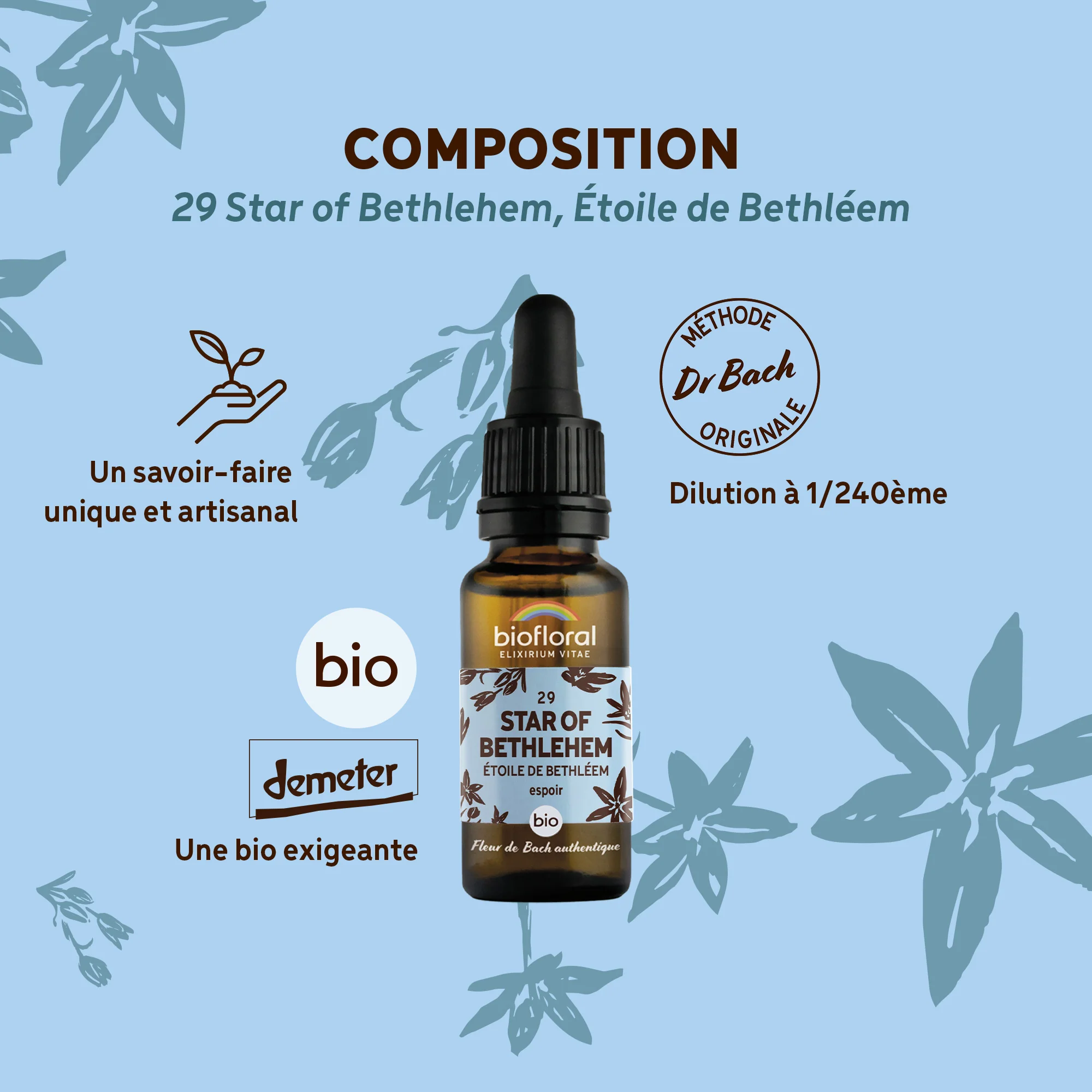 Fleur de Bach n°29 Star of Bethlehem, Ătoile de BethlĂ©em - Bio Demeter - Image 3