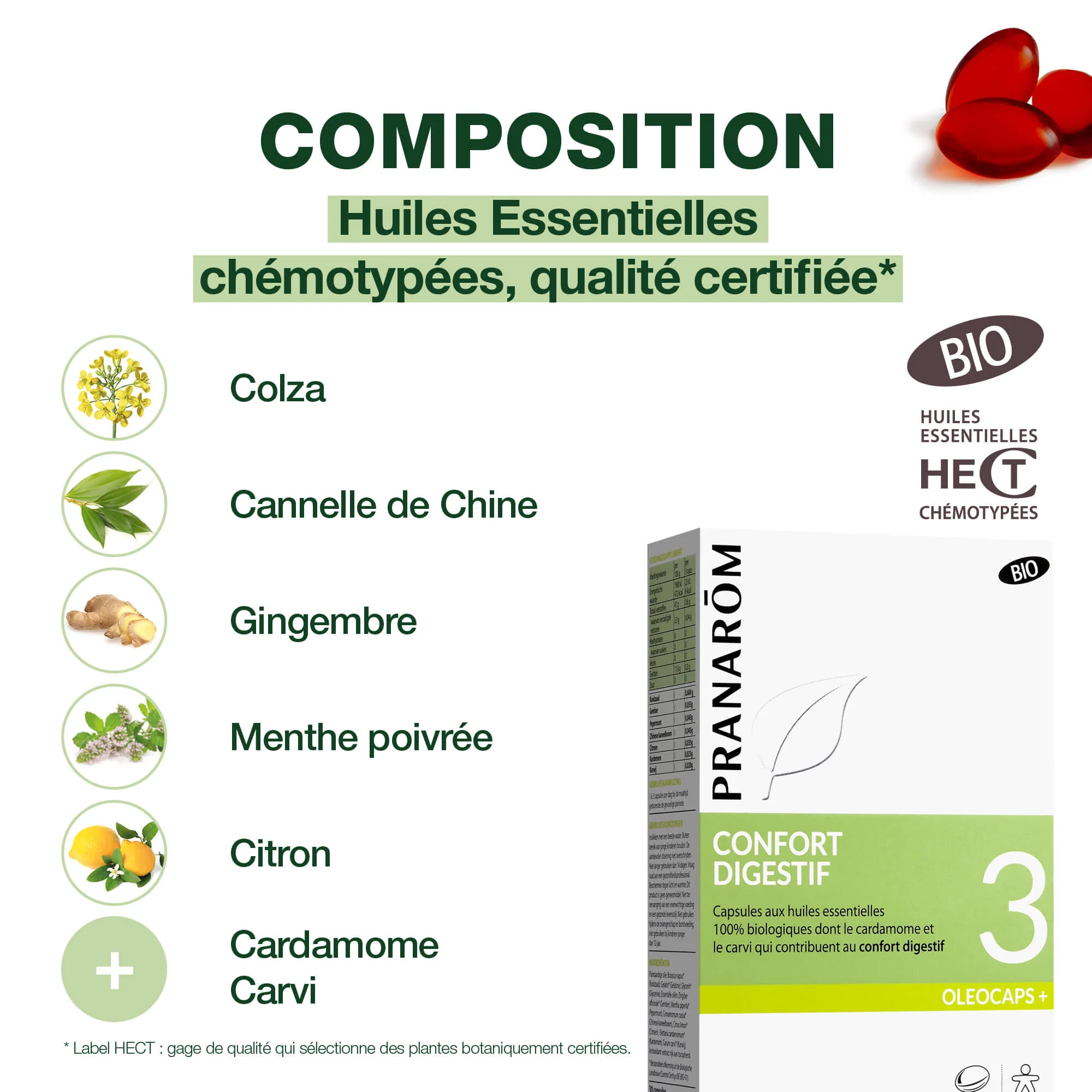 Oleocaps n°3 - Confort digestif - Bio - Image 3