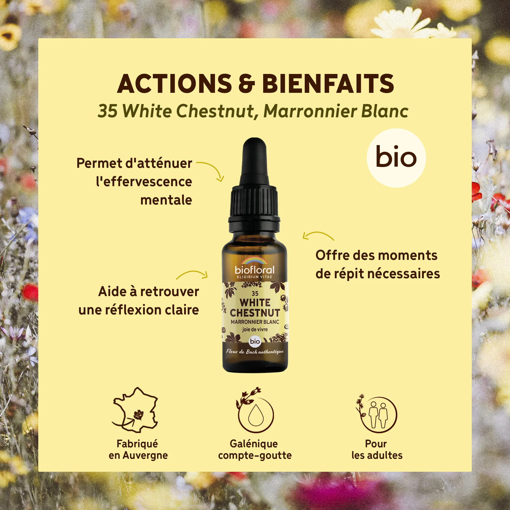 Fleur de Bach n°35 White Chestnut, Marronnier Blanc - Bio Demeter - Image 2