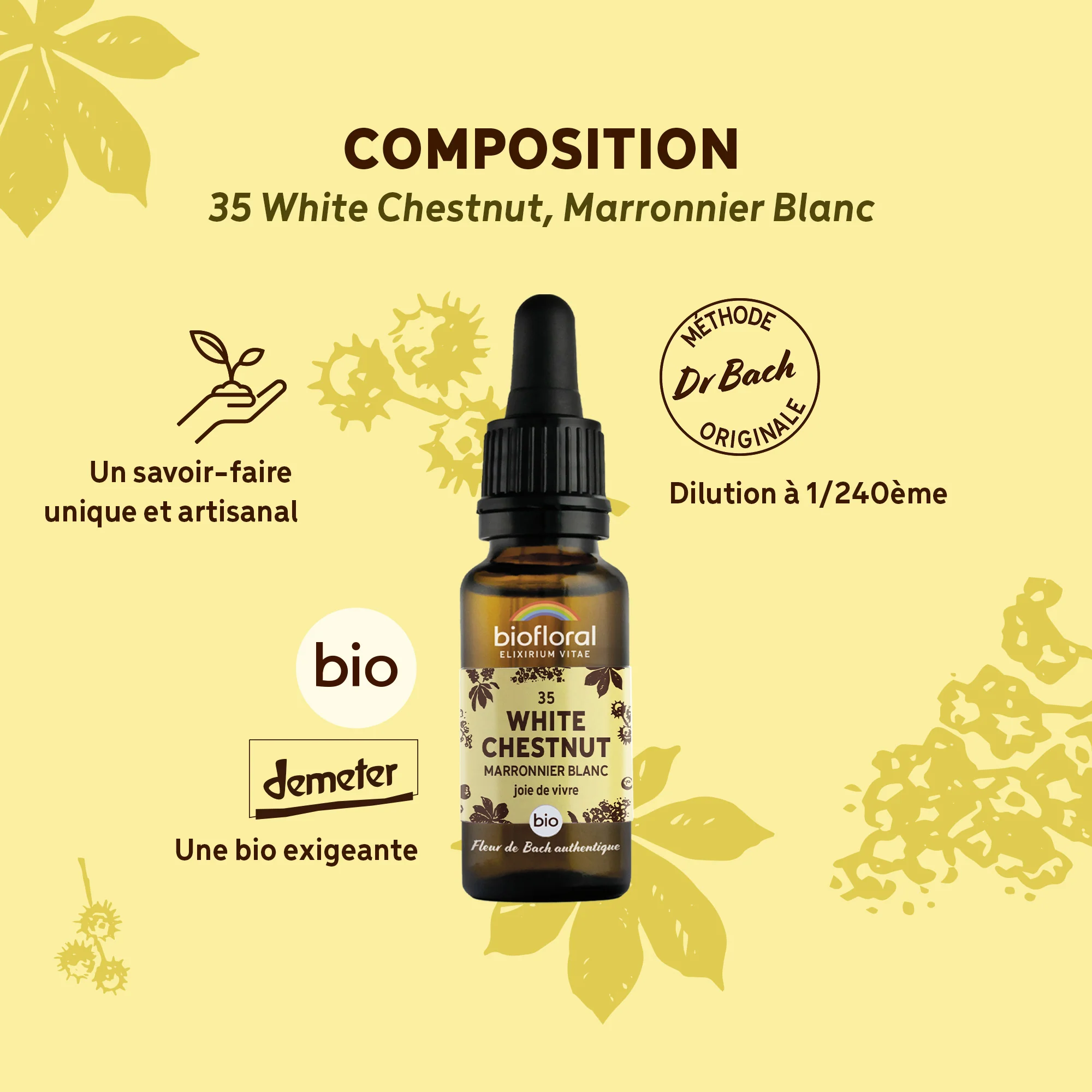 Fleur de Bach n°35 White Chestnut, Marronnier Blanc - Bio Demeter - Image 3