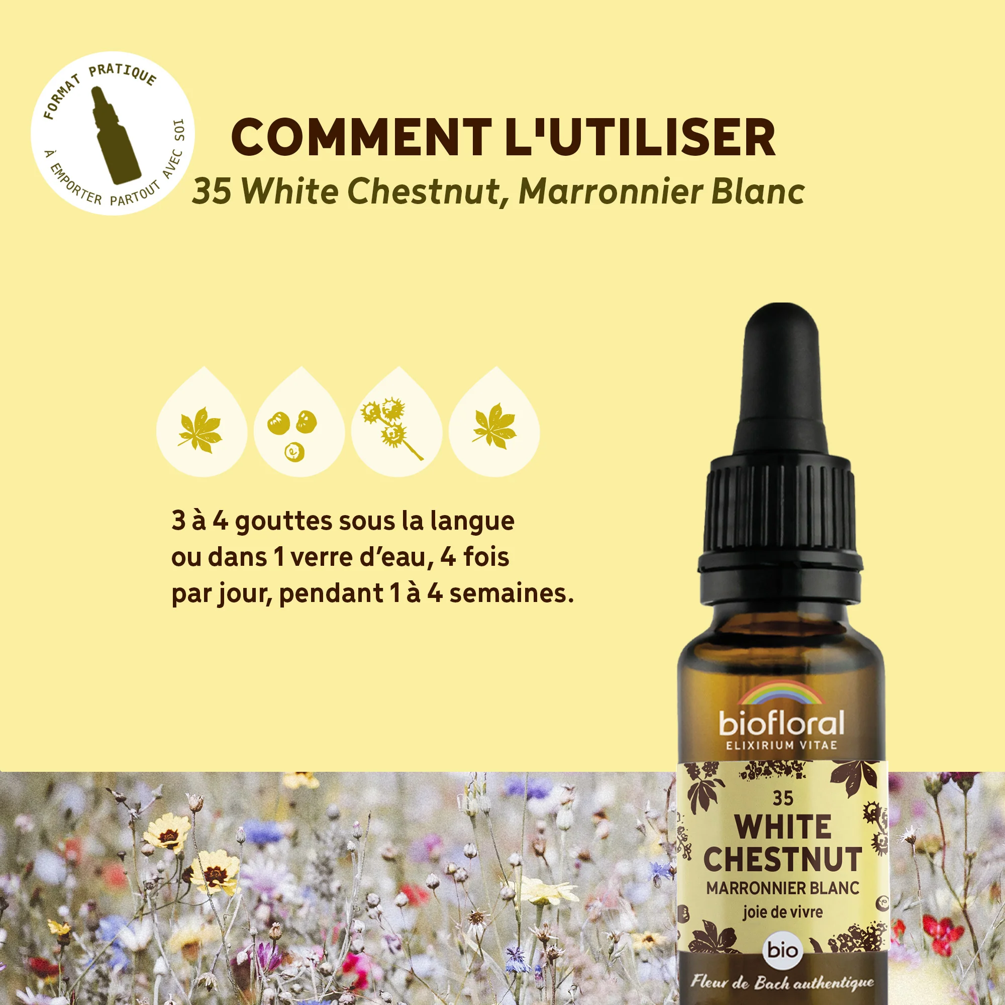 Fleur de Bach n°35 White Chestnut, Marronnier Blanc - Bio Demeter - Image 4