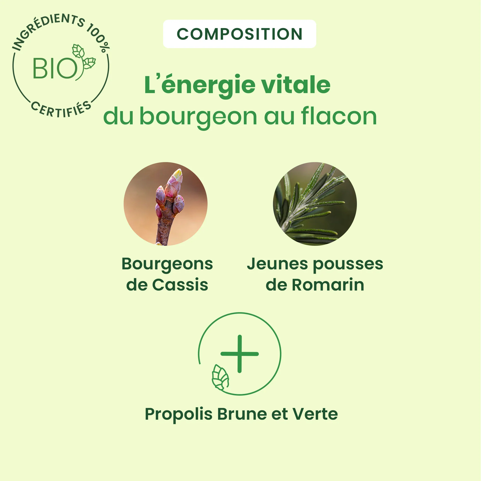 AllarGem protection allergies - Bio - Image 3