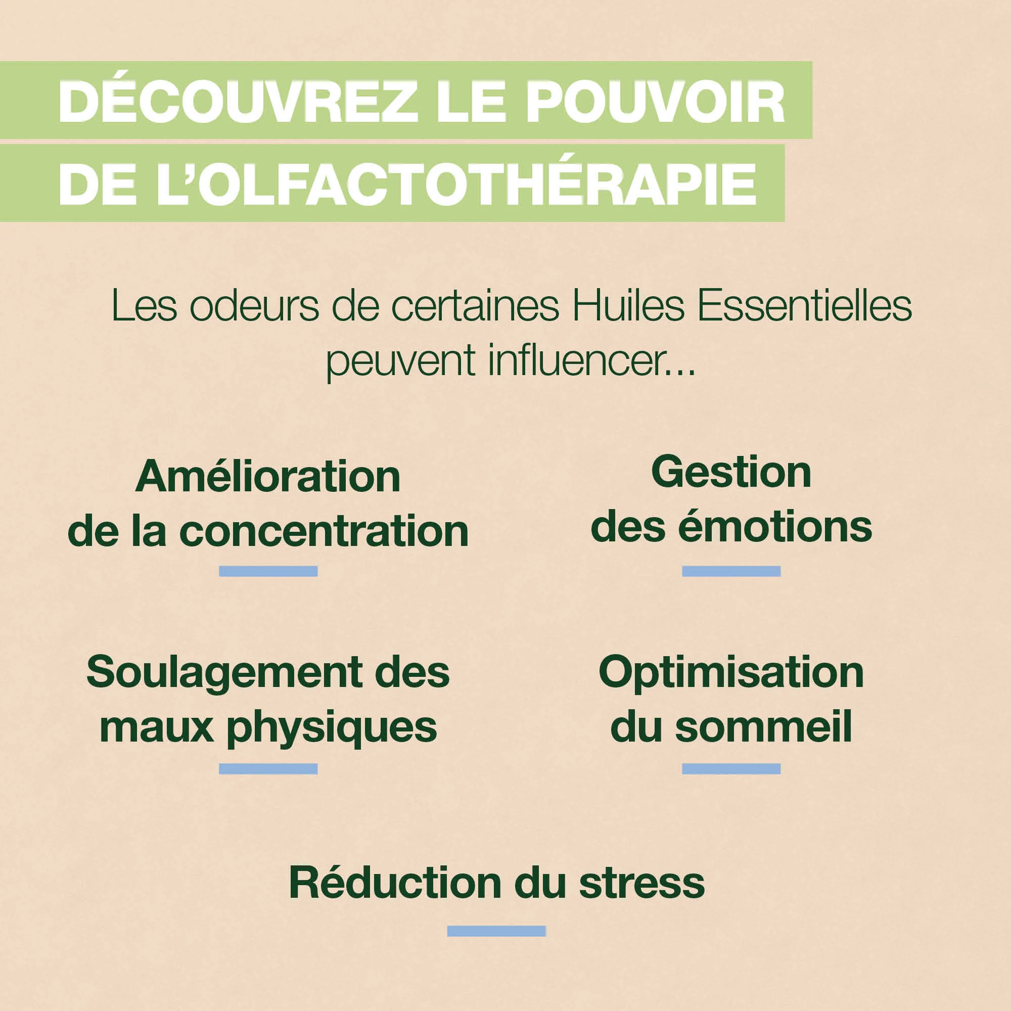 Roll-on Sleep - Bio - Image 6