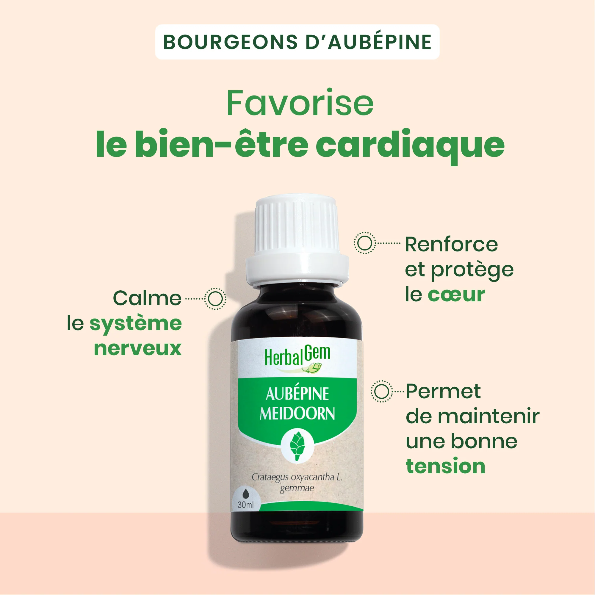 Bourgeon d'Aubépine - Bio - Image 2