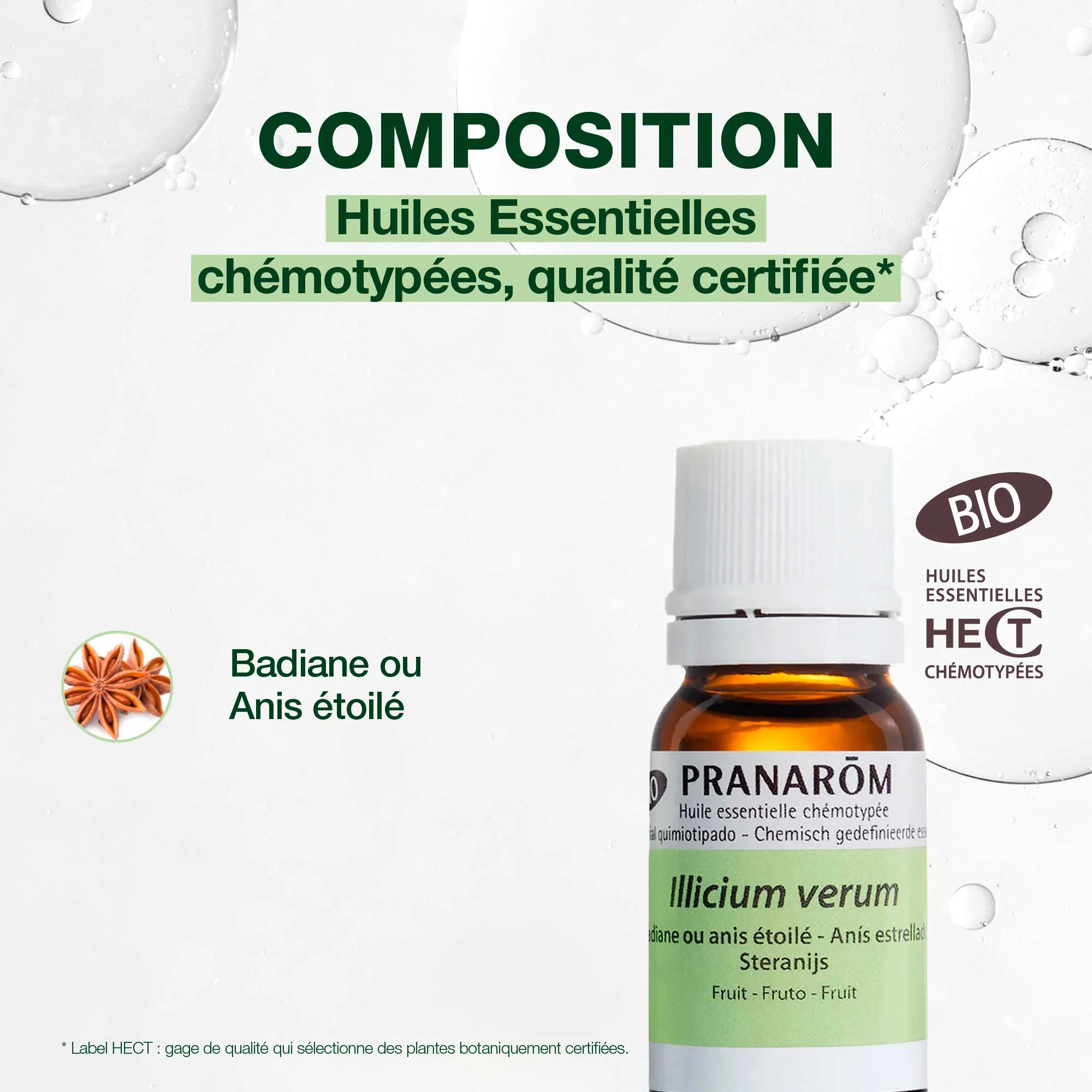 Huile Essentielle de Badiane ou Anis étoilé - Bio - Image 4
