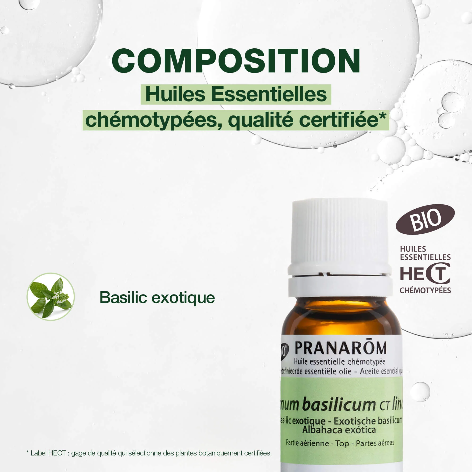 Huile Essentielle Basilic exotique - CT linalol - Bio - Image 4