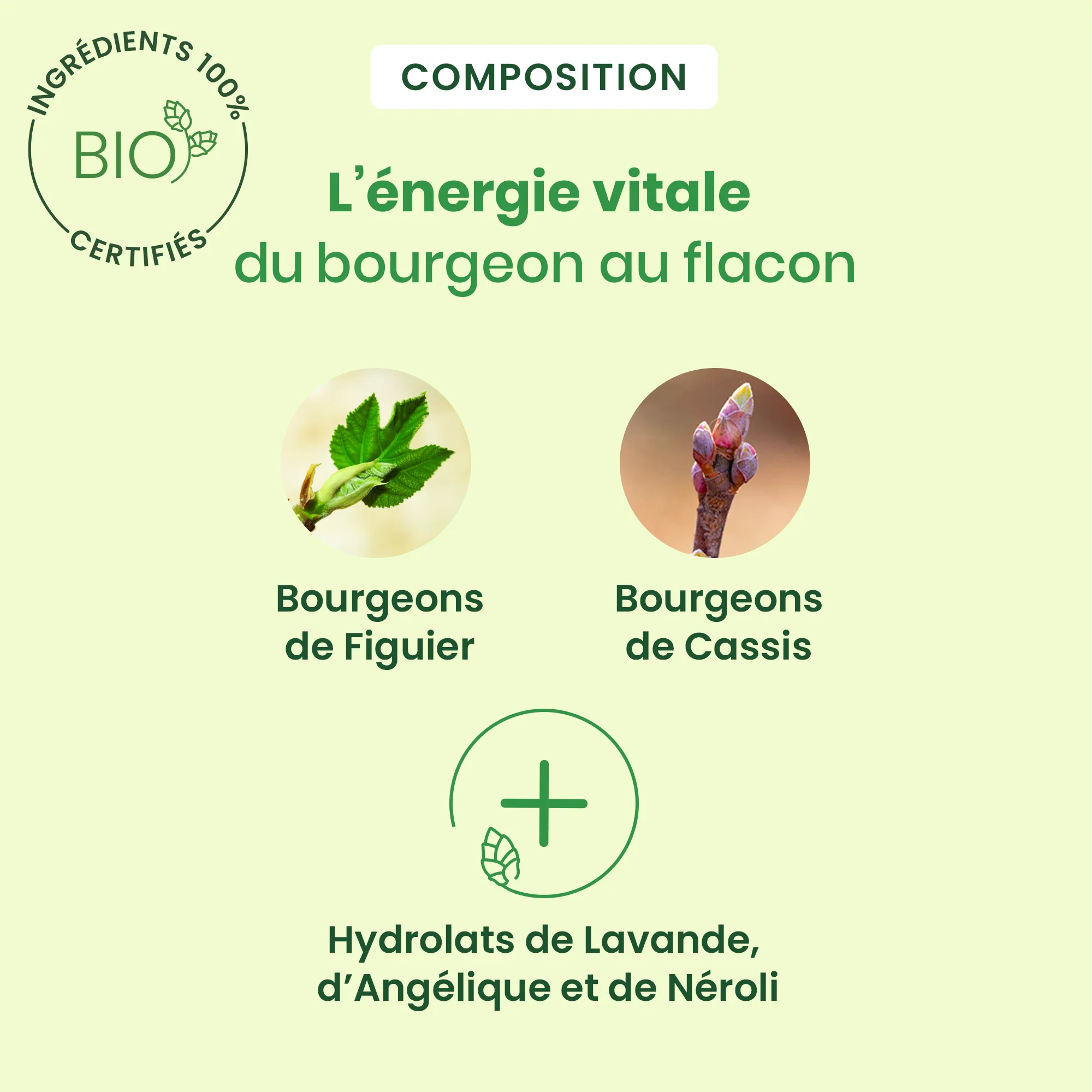 Calmigem - complexe anti-stress - Bio - Image 4