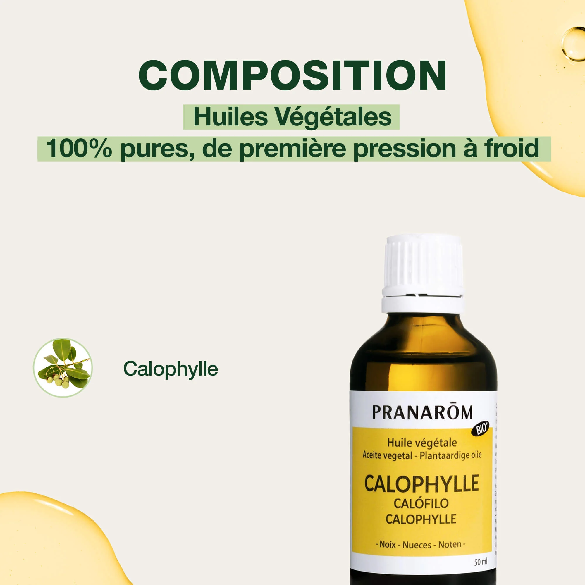 Huile Végétale de Calophylle - Bio - Image 3