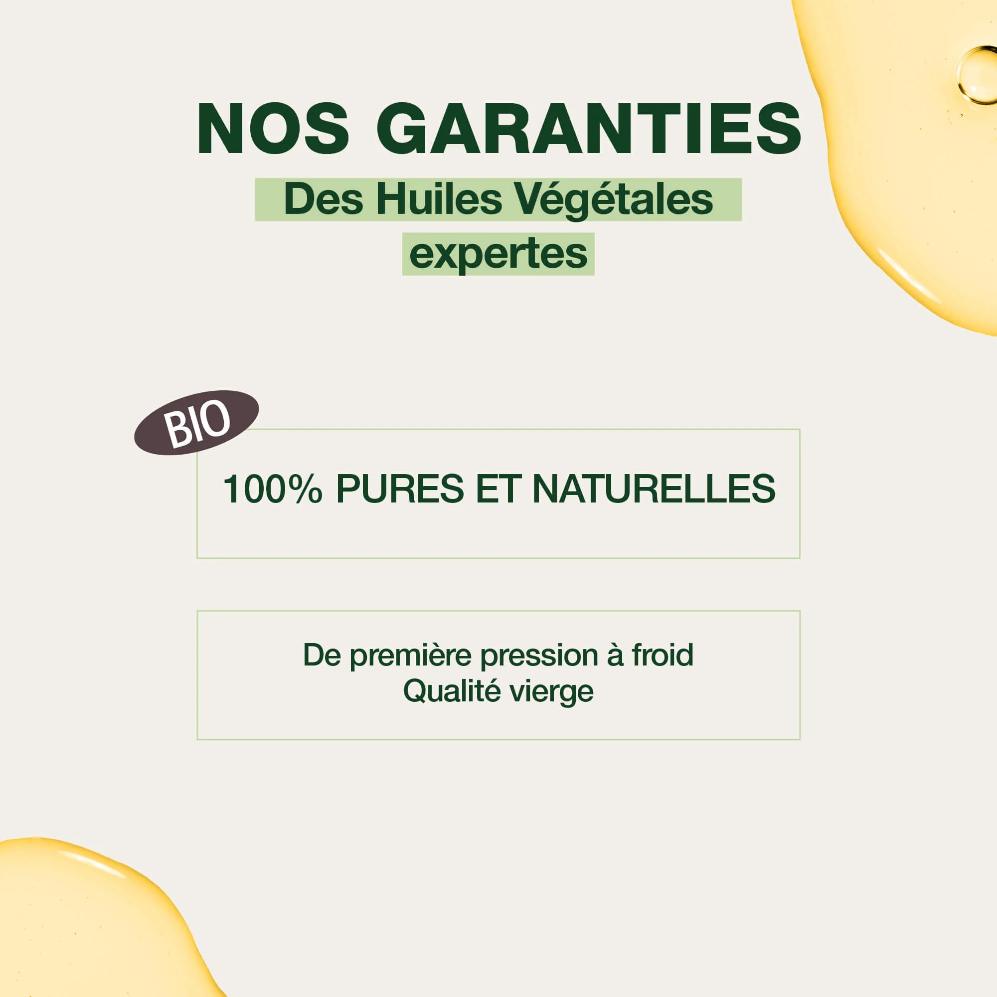 Huile Végétale de Calophylle - Bio - Image 4
