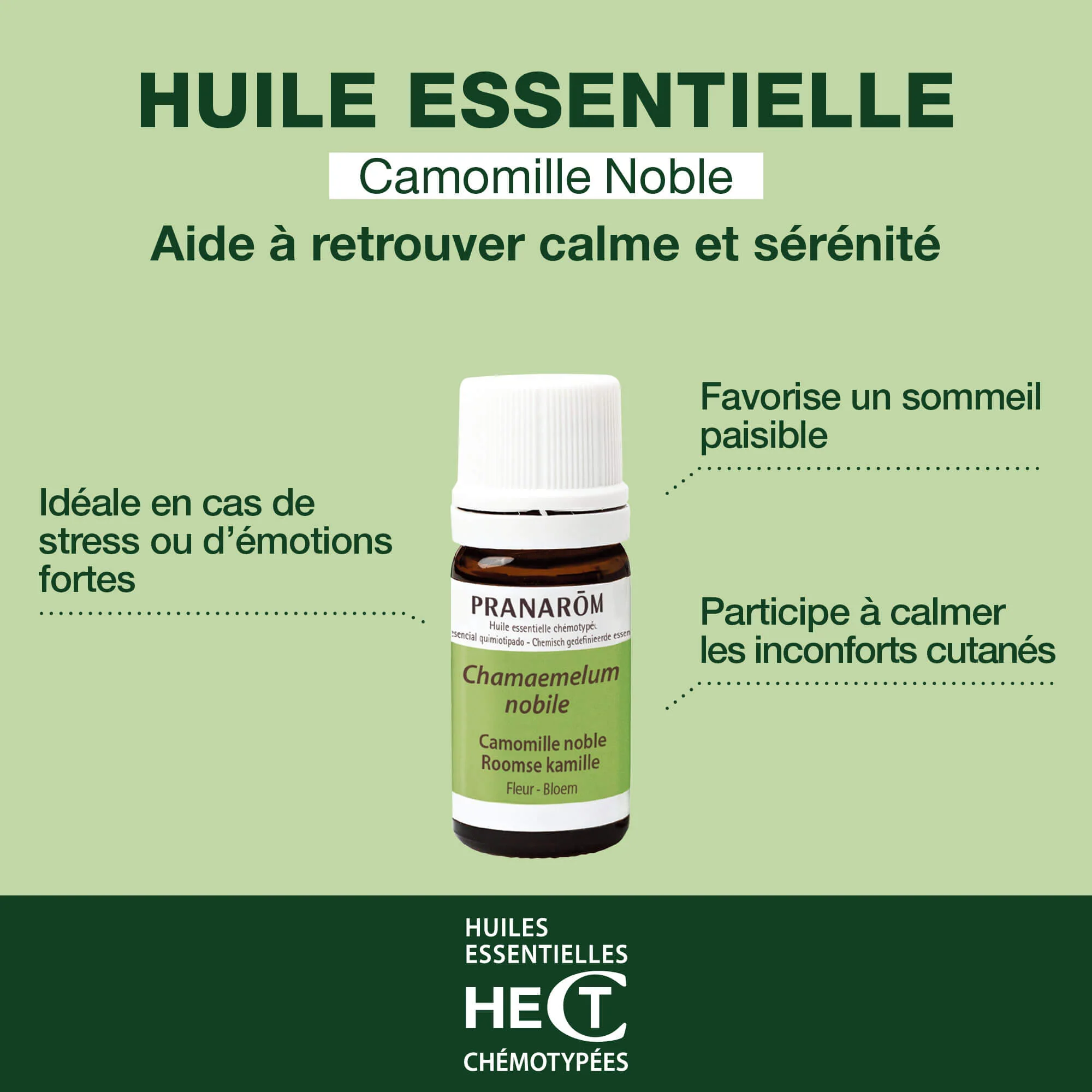 Huile Essentielle de Camomille noble - Image 2