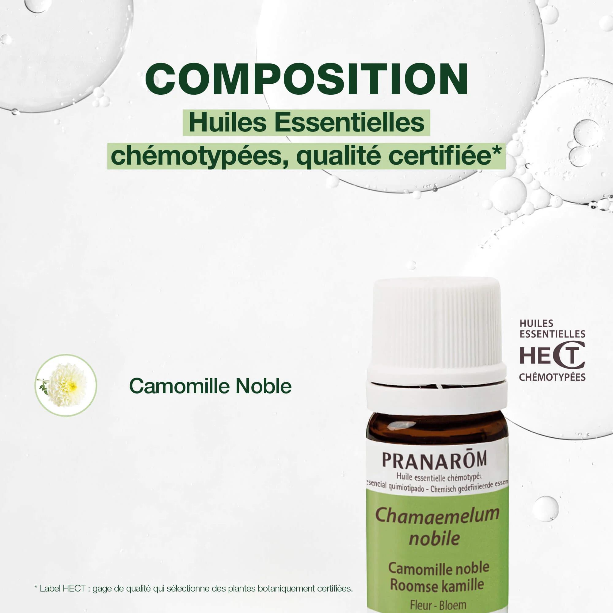 Huile Essentielle de Camomille noble - Image 4
