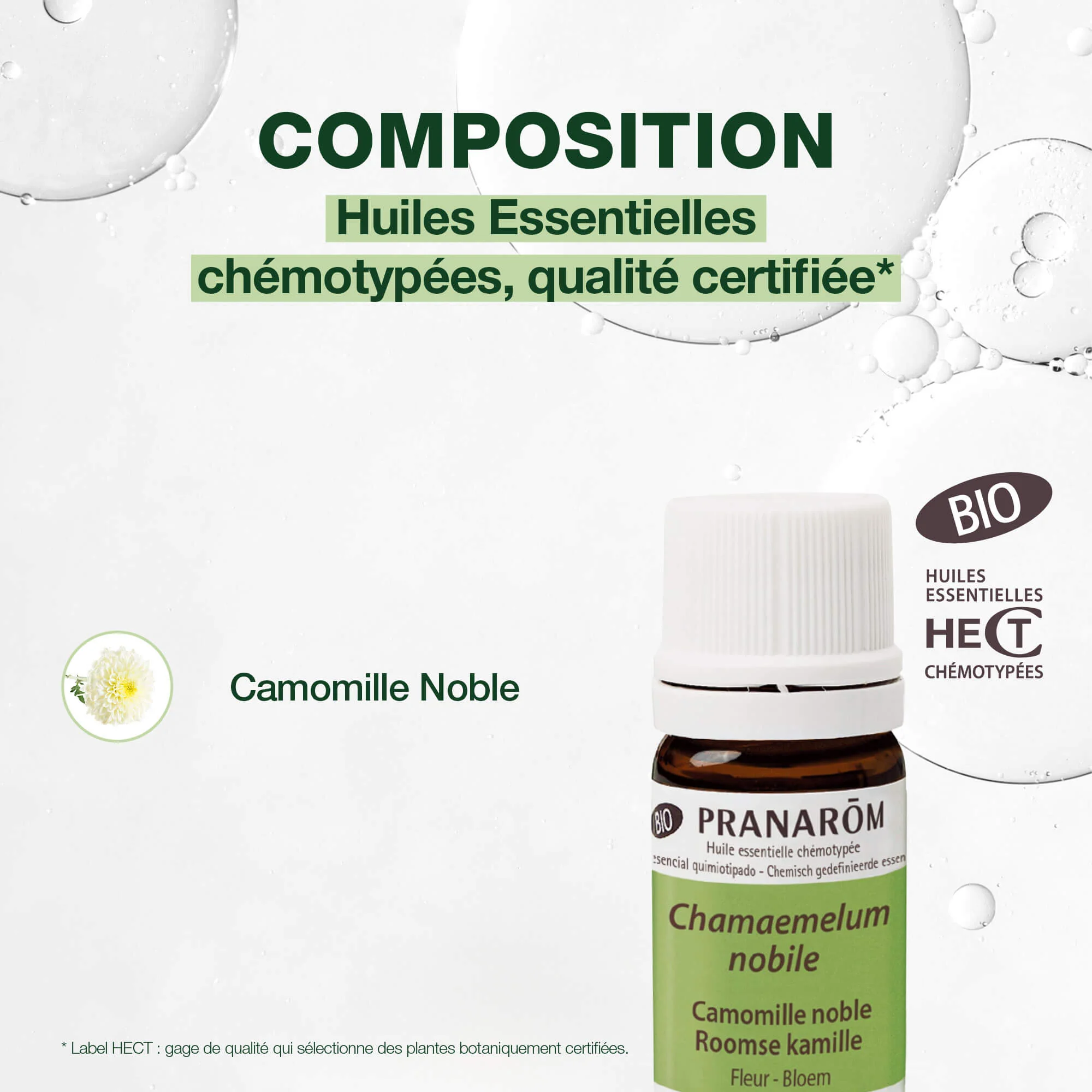 Huile Essentielle de Camomille noble - Bio - Image 4