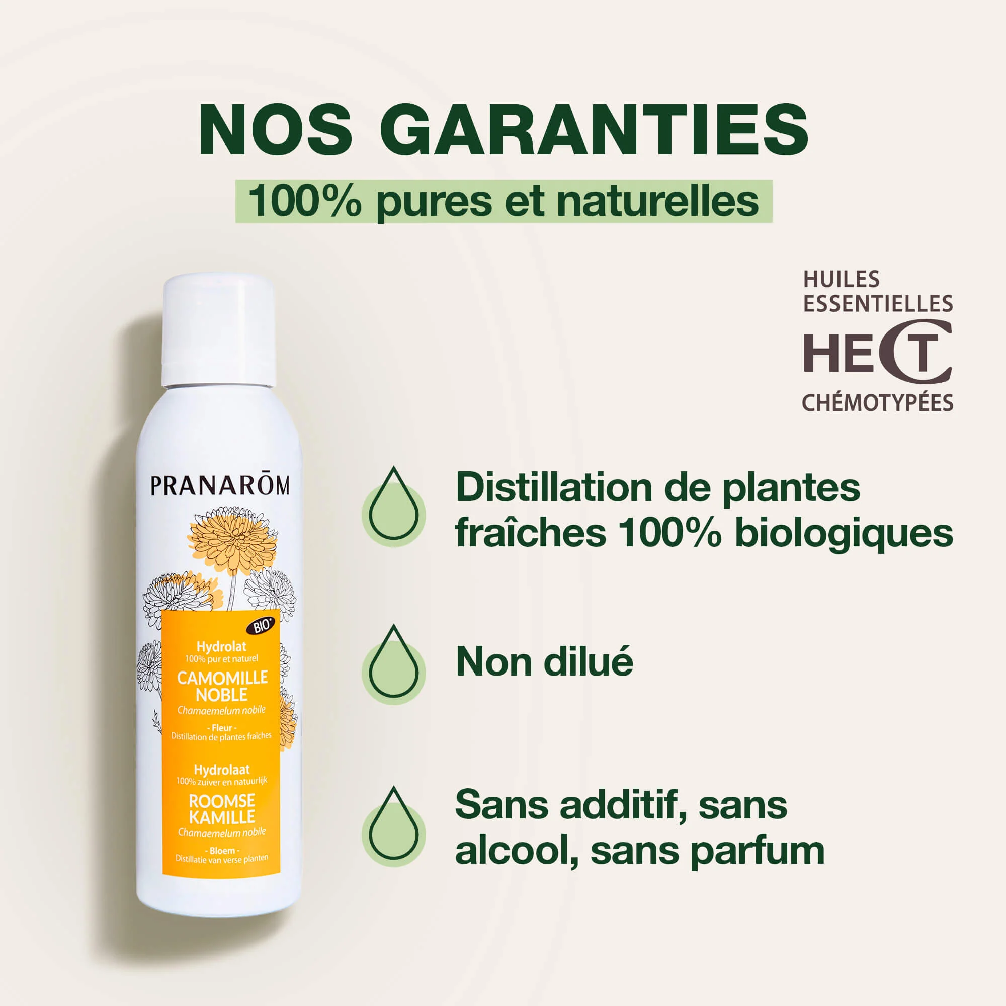 Hydrolat de Camomille noble - Bio - Image 3