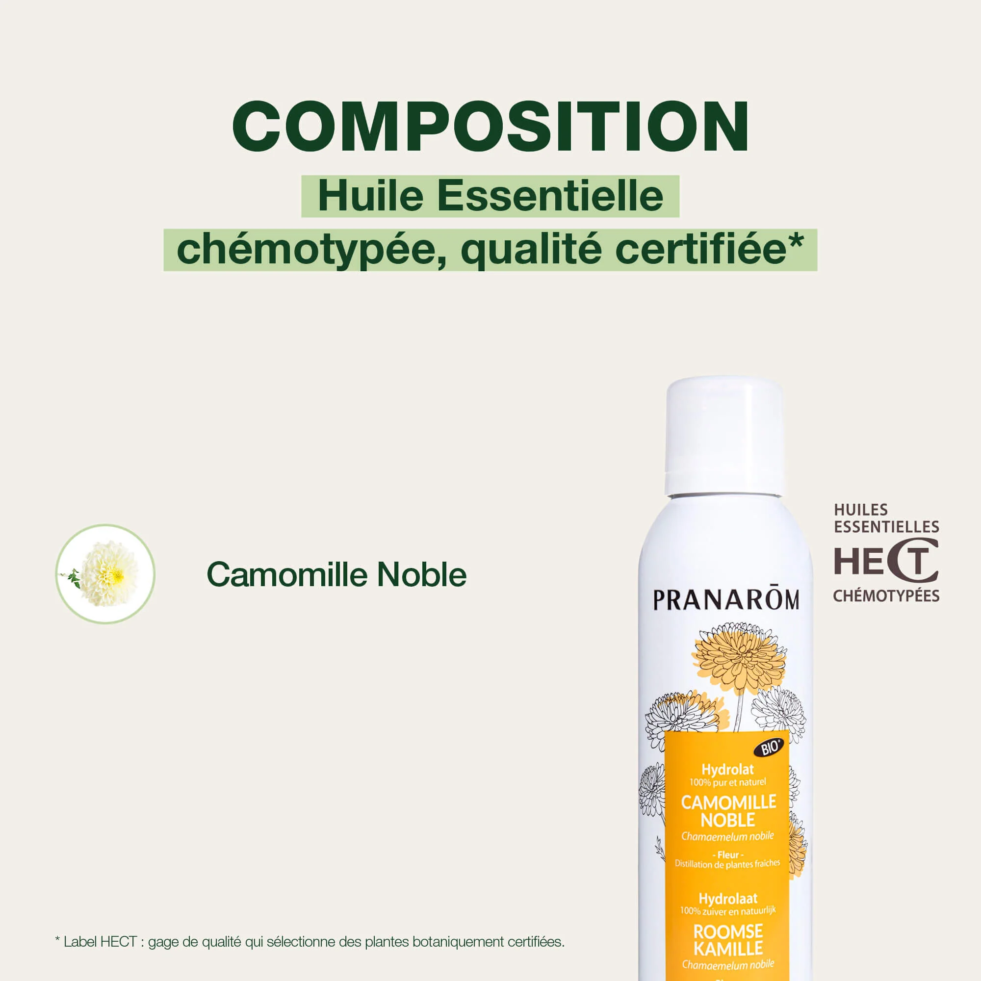 Hydrolat de Camomille noble - Bio - Image 4