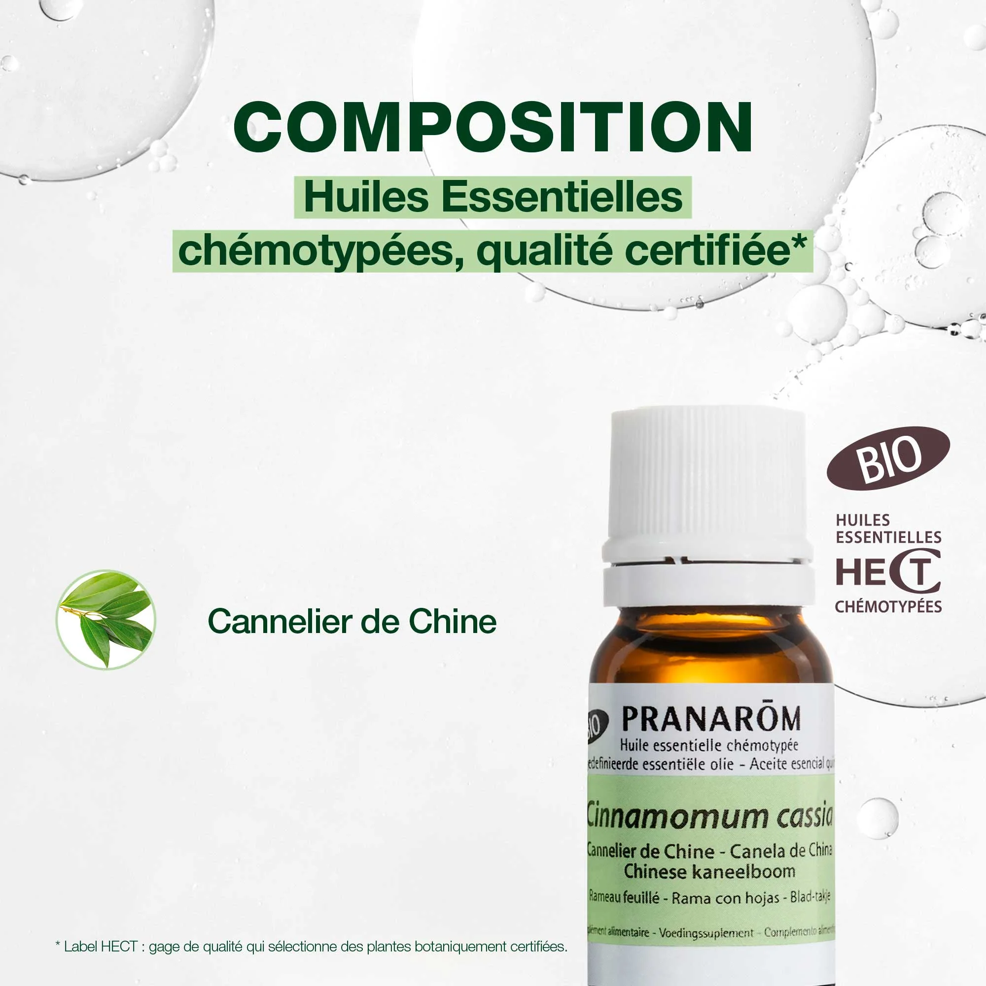 Huile Essentielle de Cannelier de Chine - Bio - Image 3