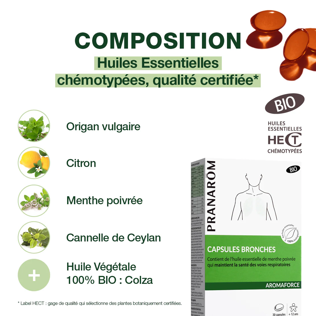 Capsules bronches aux Huiles Essentielles - Bio - Image 4