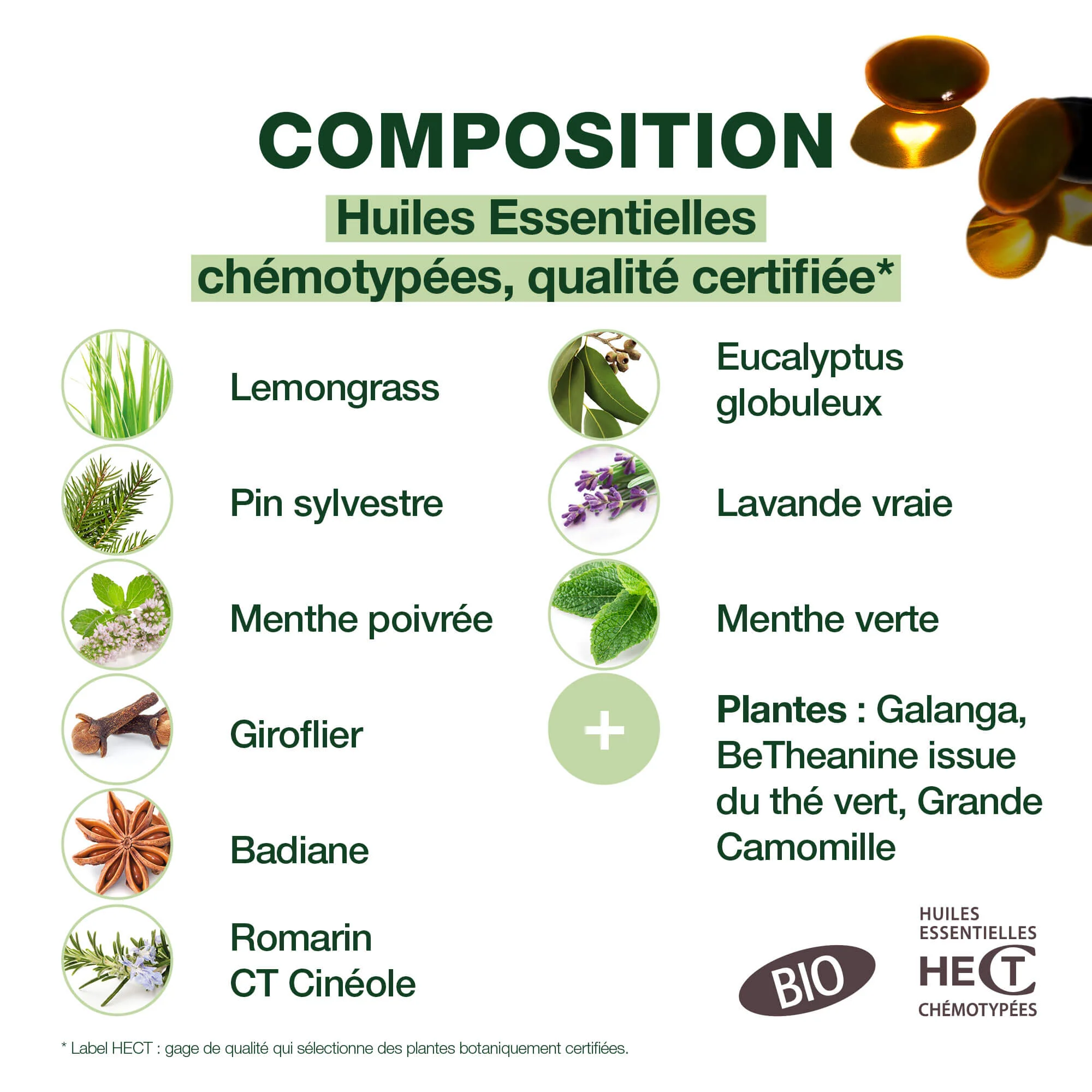 Capsules Coups de froid jour / nuit - Image 4