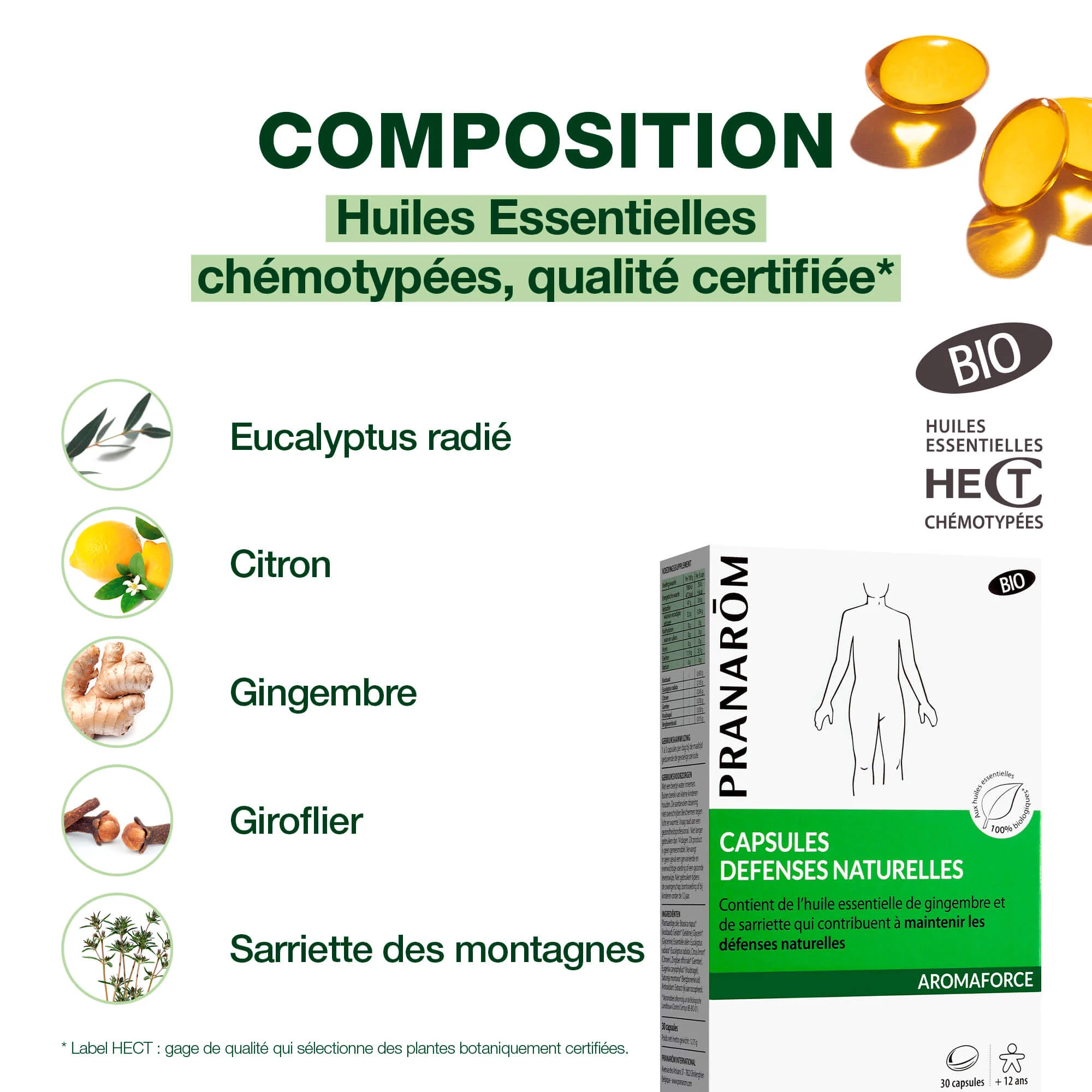 Capsules Défenses naturelles - Bio - Image 3