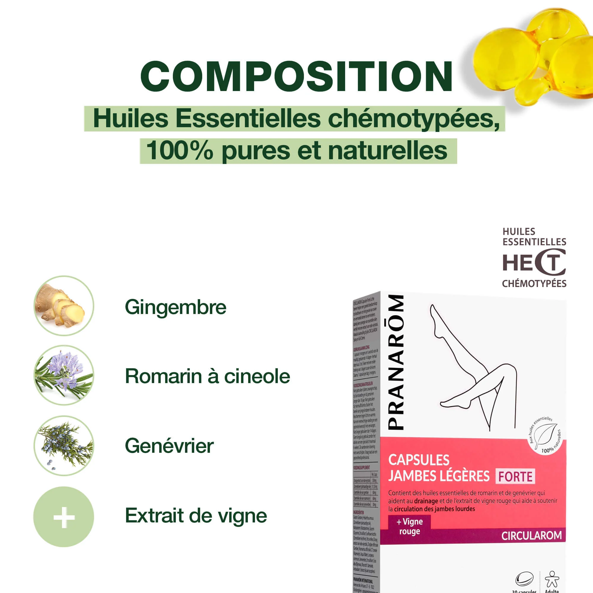 Capsules FORTE - Jambes légères - Image 3