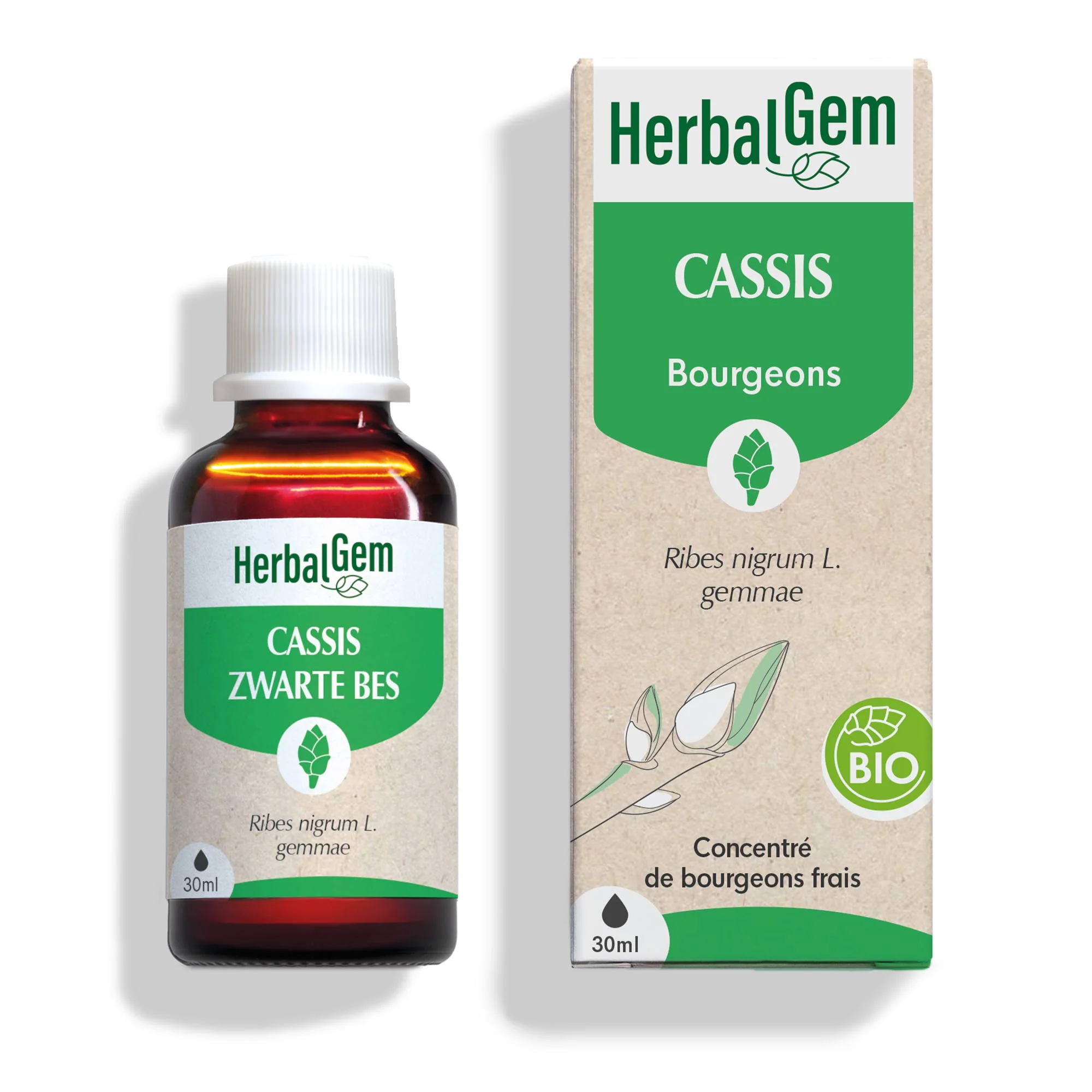 Bourgeon de cassis - Bio