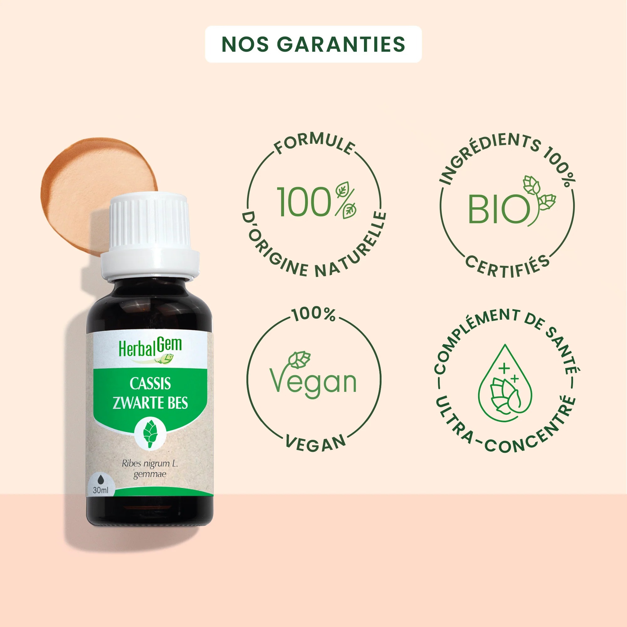Bourgeon de cassis - Bio - Image 3