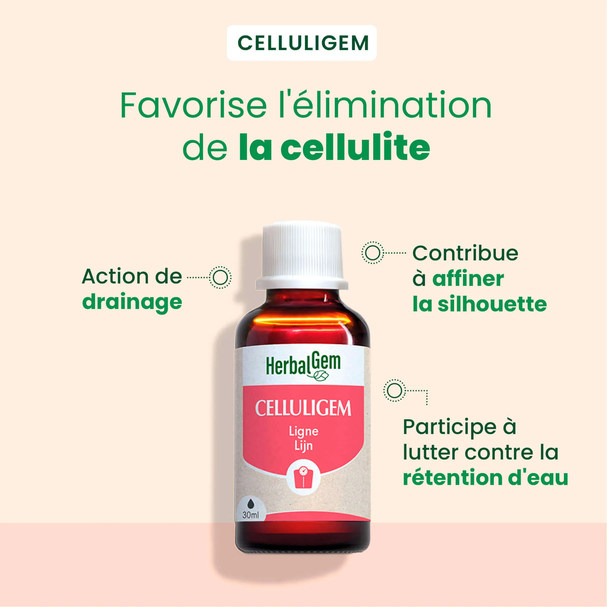 Celluligem - complexe ligne - Bio - Image 3