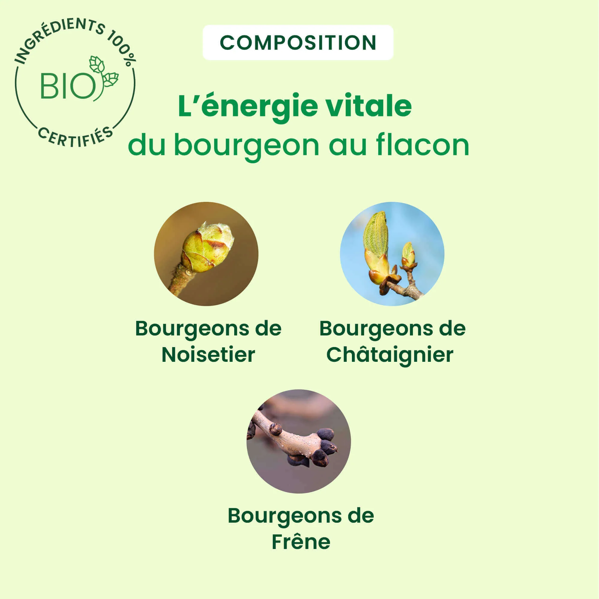Celluligem - complexe ligne - Bio - Image 5