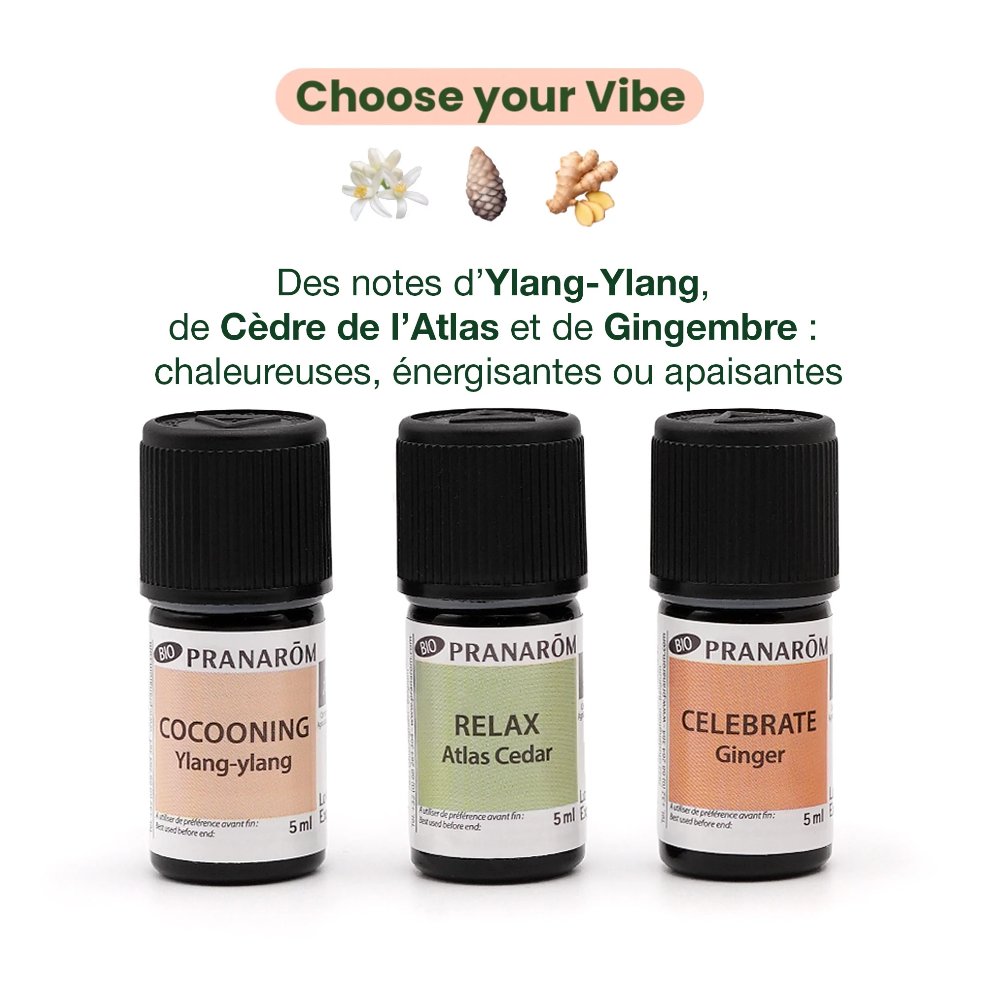 Coffret Choose Your Vibe - Bio - Image 3