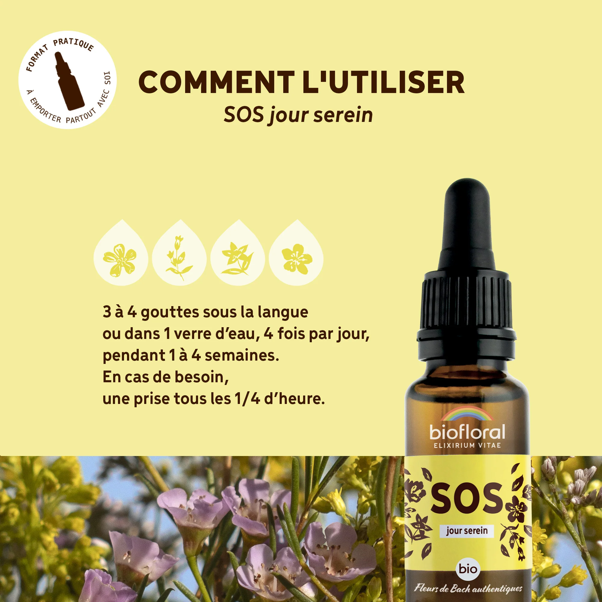 SOS Secours Jour - Bio Demeter - Image 4
