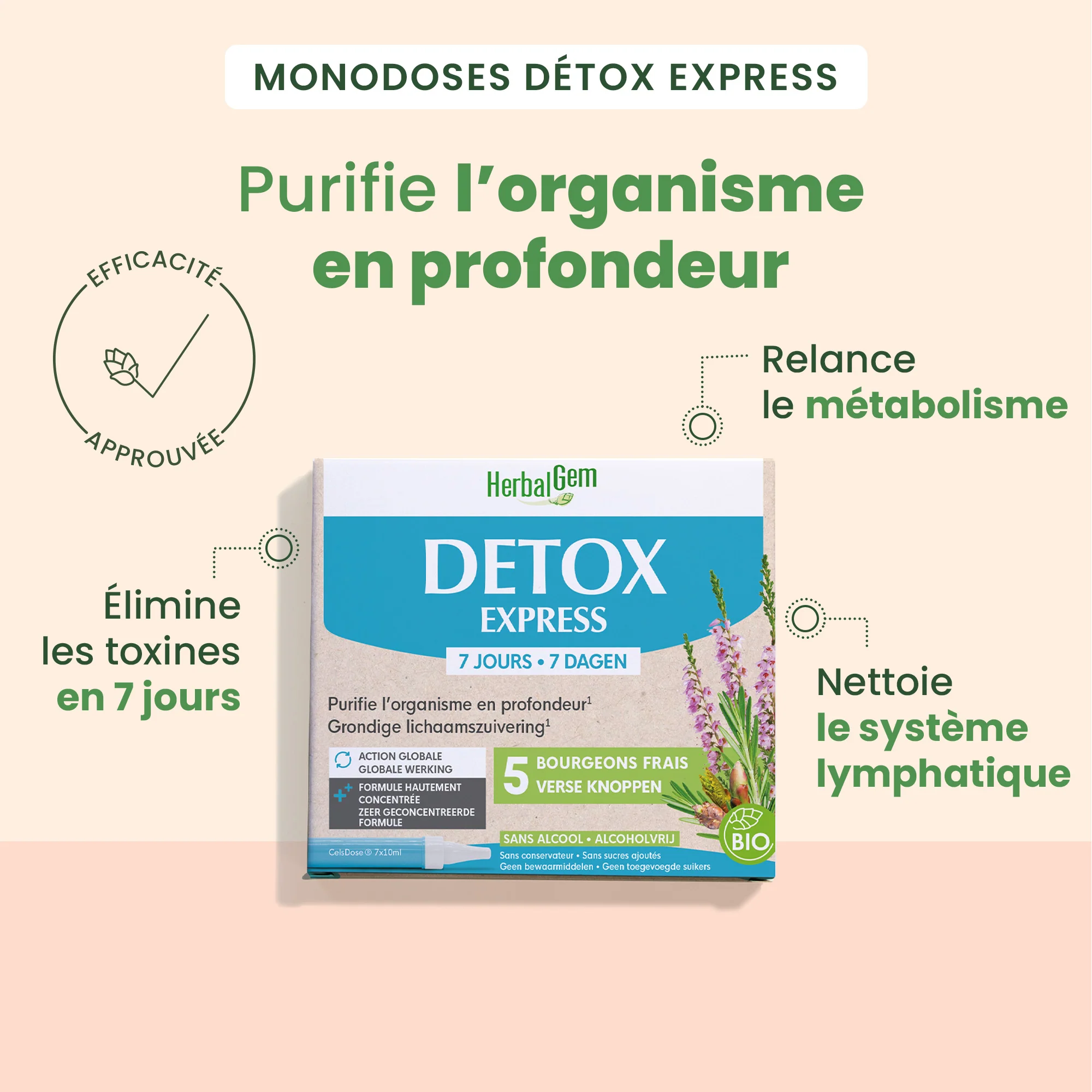 Détox express - Monodoses - Bio - Image 2