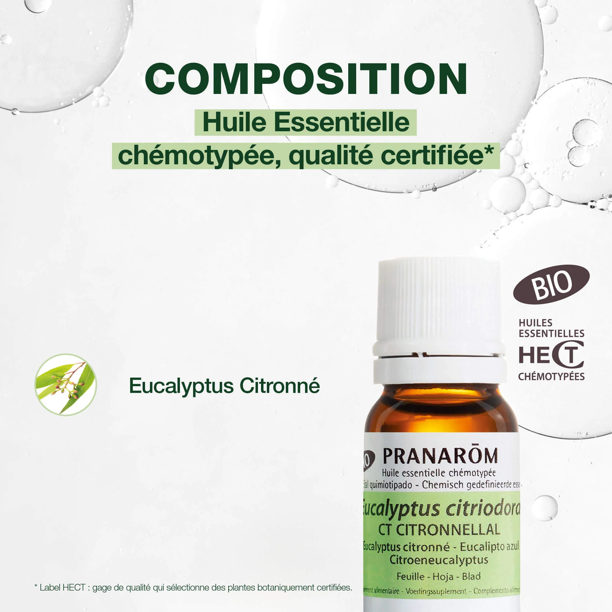 Huile Essentielle d'Eucalyptus citronné - Bio - Image 3