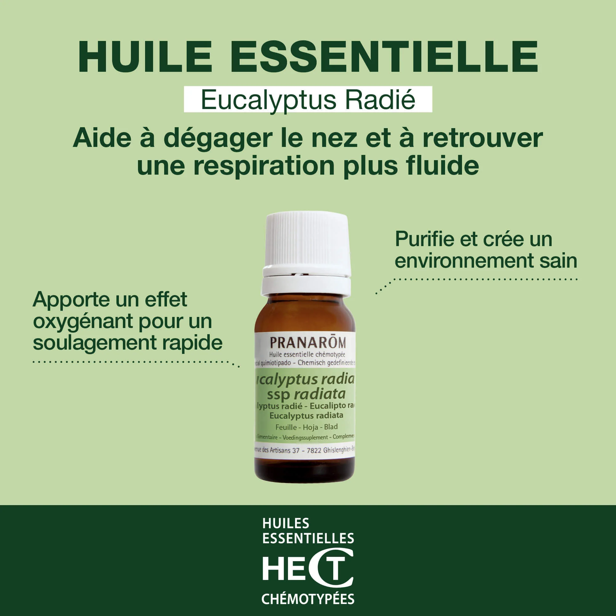 Huile Essentielle d'Eucalyptus radié - Image 2