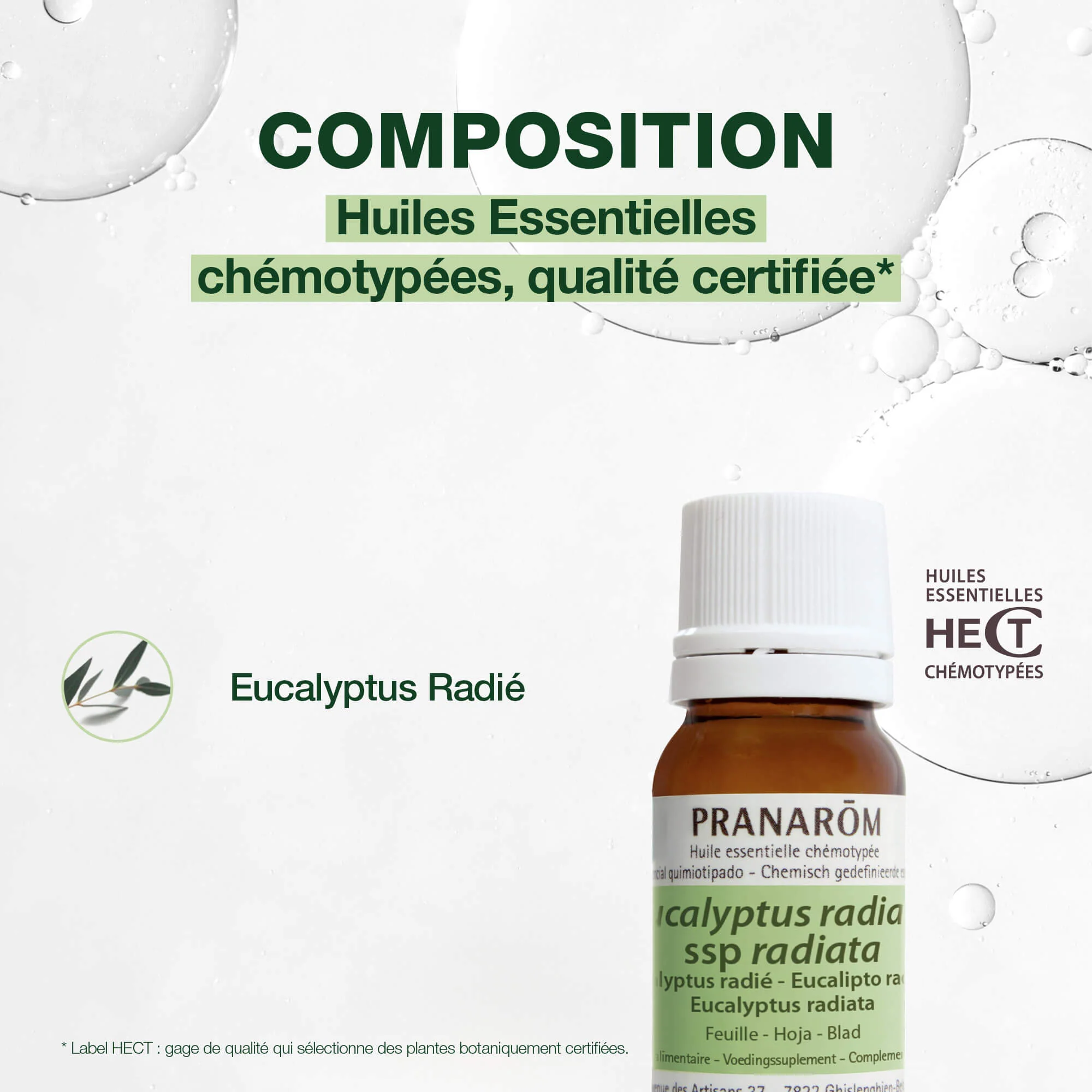 Huile Essentielle d'Eucalyptus radié - Image 4