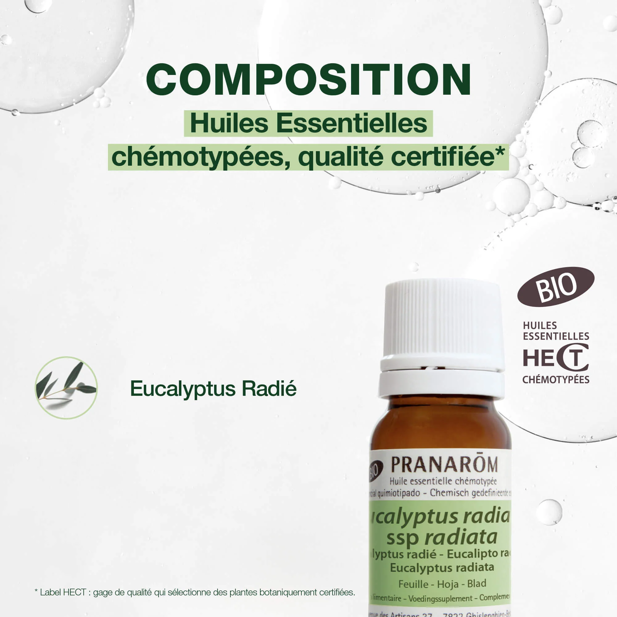 Huile Essentielle d'Eucalyptus radié - Bio - Image 4