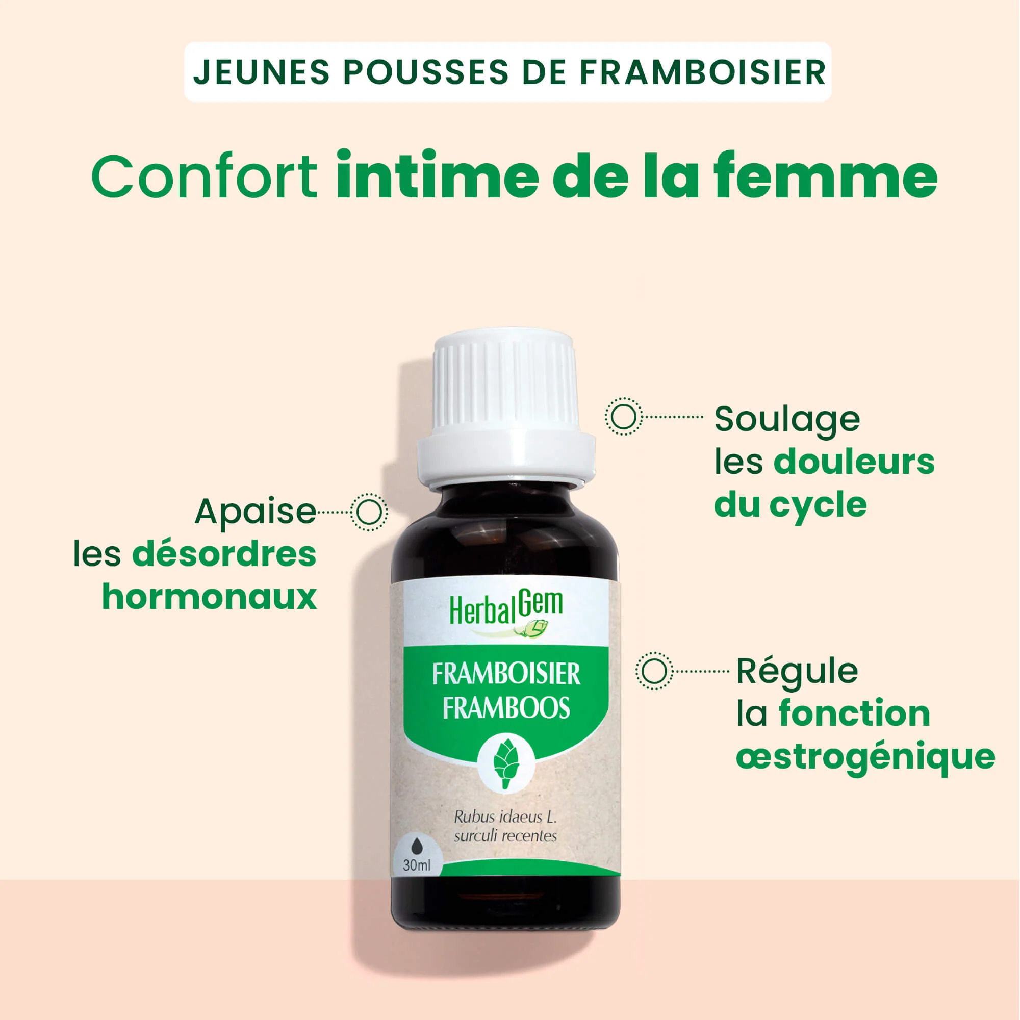 Bourgeon de framboisier - Bio - Image 2