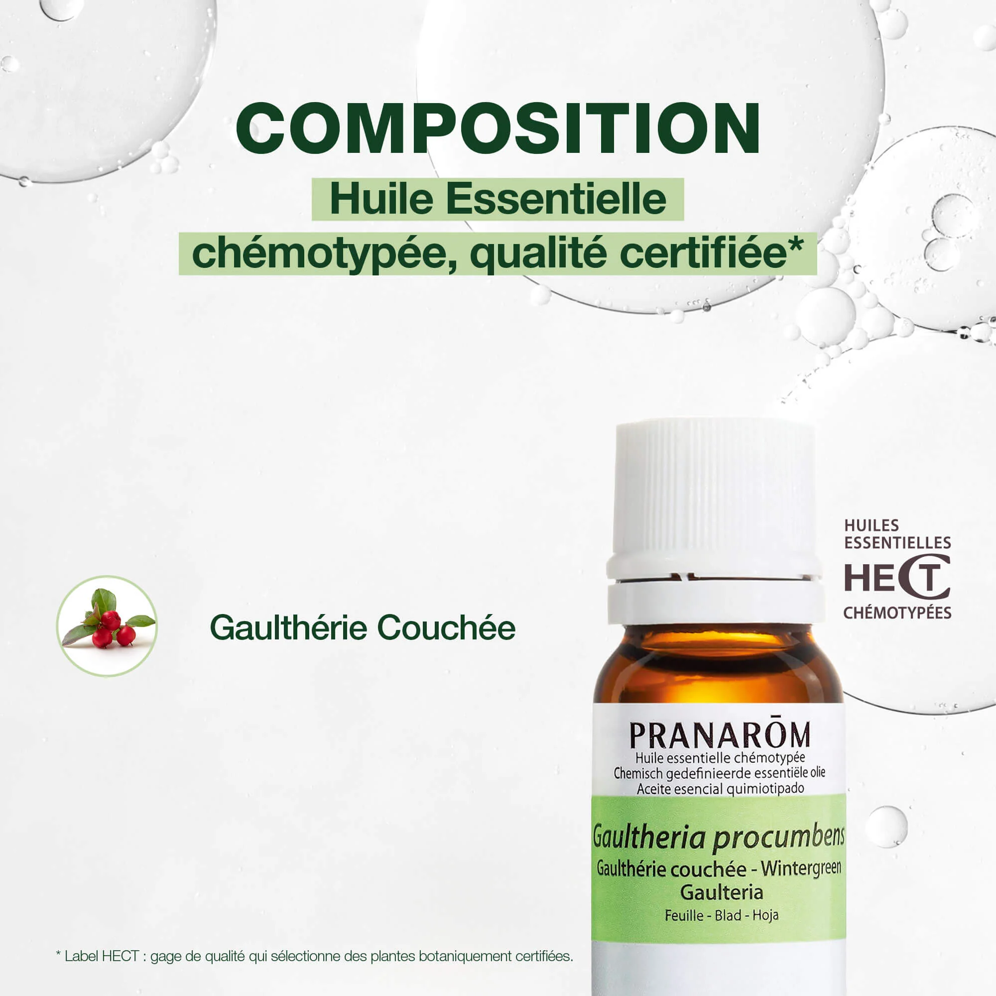Huile Essentielle de Gaulthérie couchée - Image 3