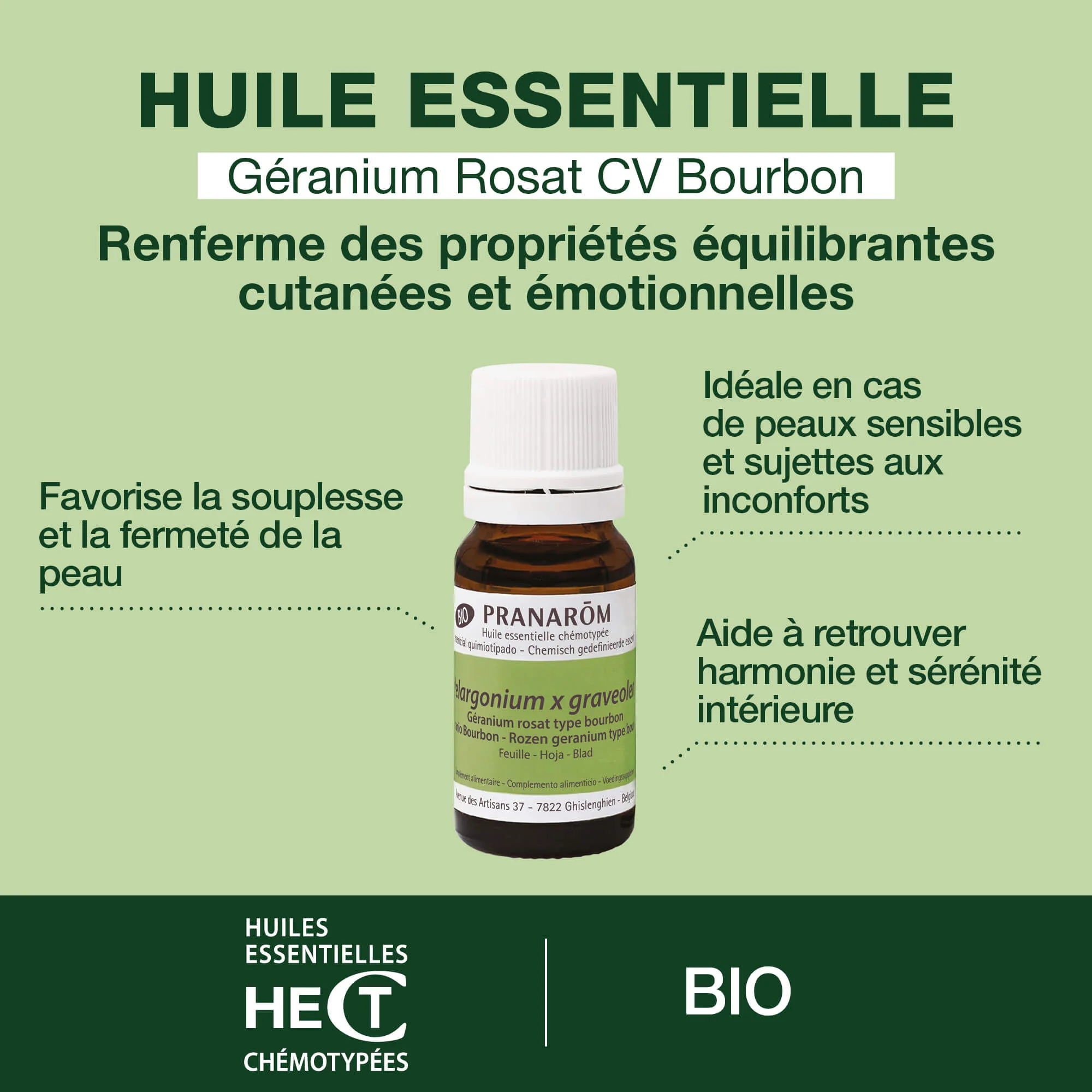 Huile Essentielle de Géranium rosat cv bourbon - Bio - Image 2