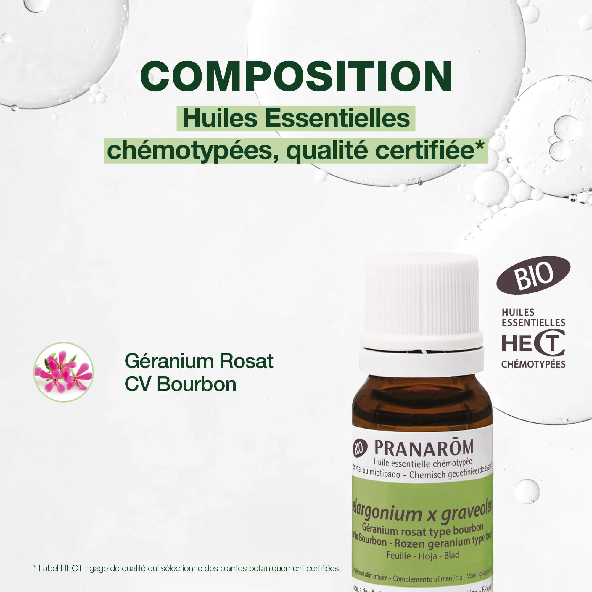 Huile Essentielle de Géranium rosat cv bourbon - Bio - Image 3