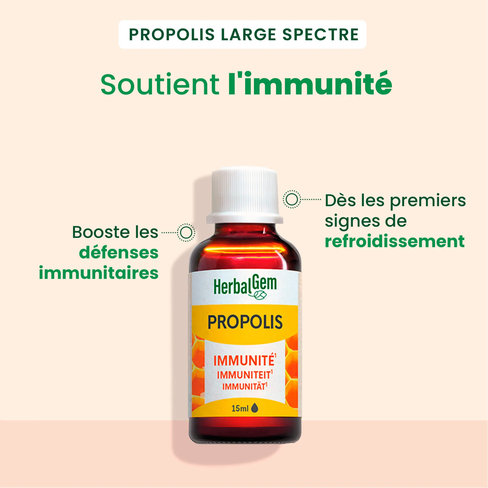 Propolis Gouttes Immunité - Bio - Image 2