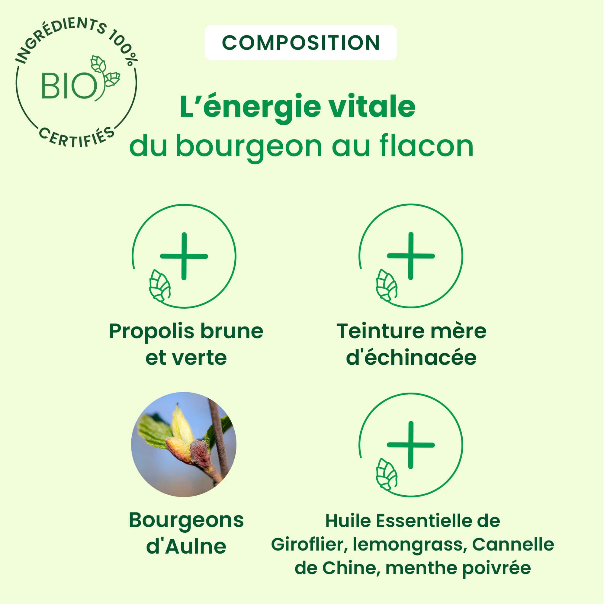 Propolis Gouttes Immunité - Bio - Image 4