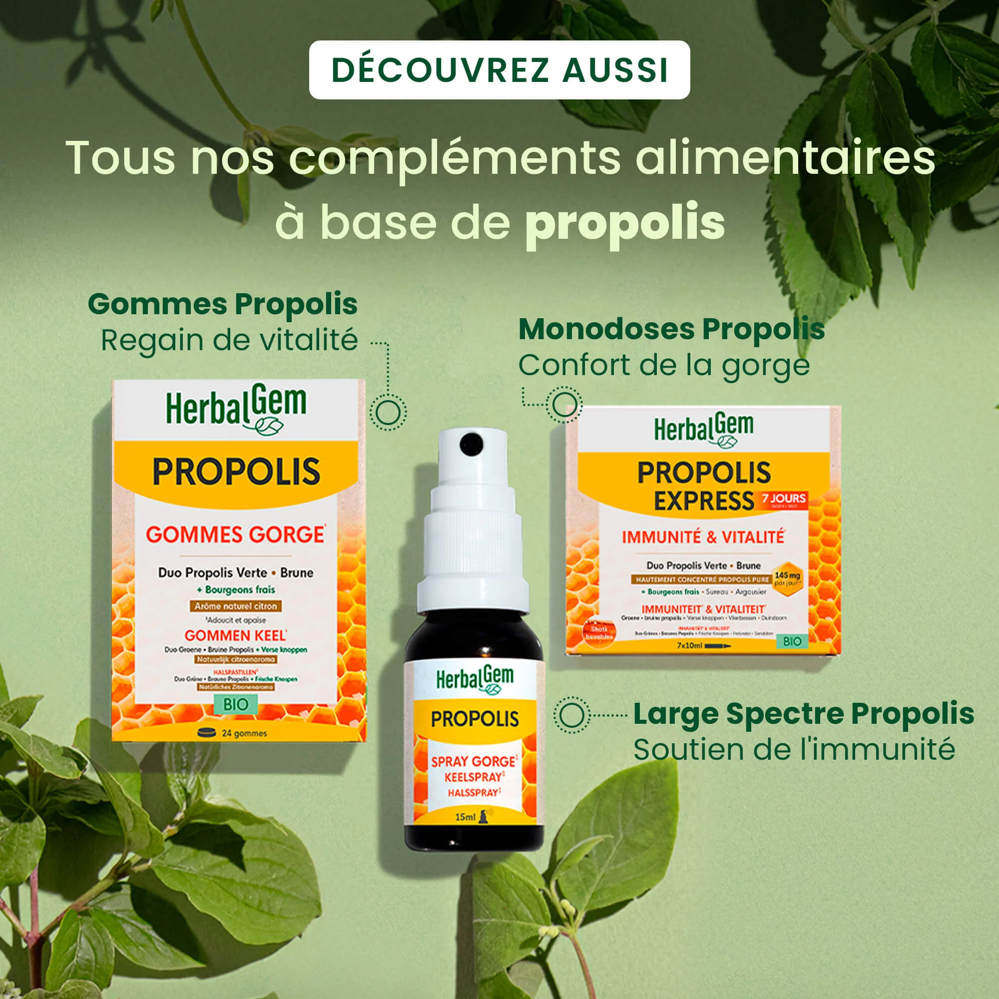 Propolis Gouttes Immunité - Bio - Image 6