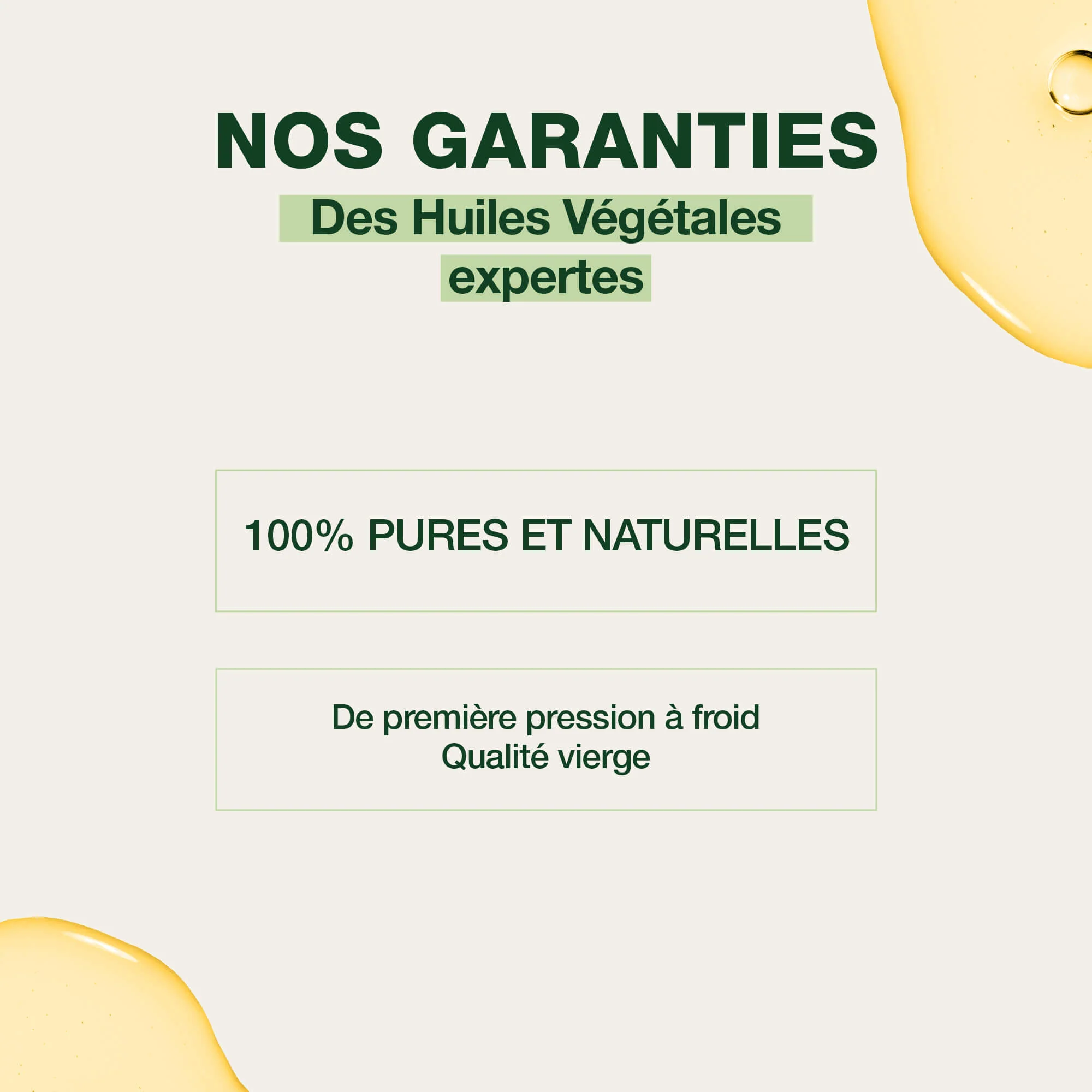 Huile Végétale d'Arnica - Image 3