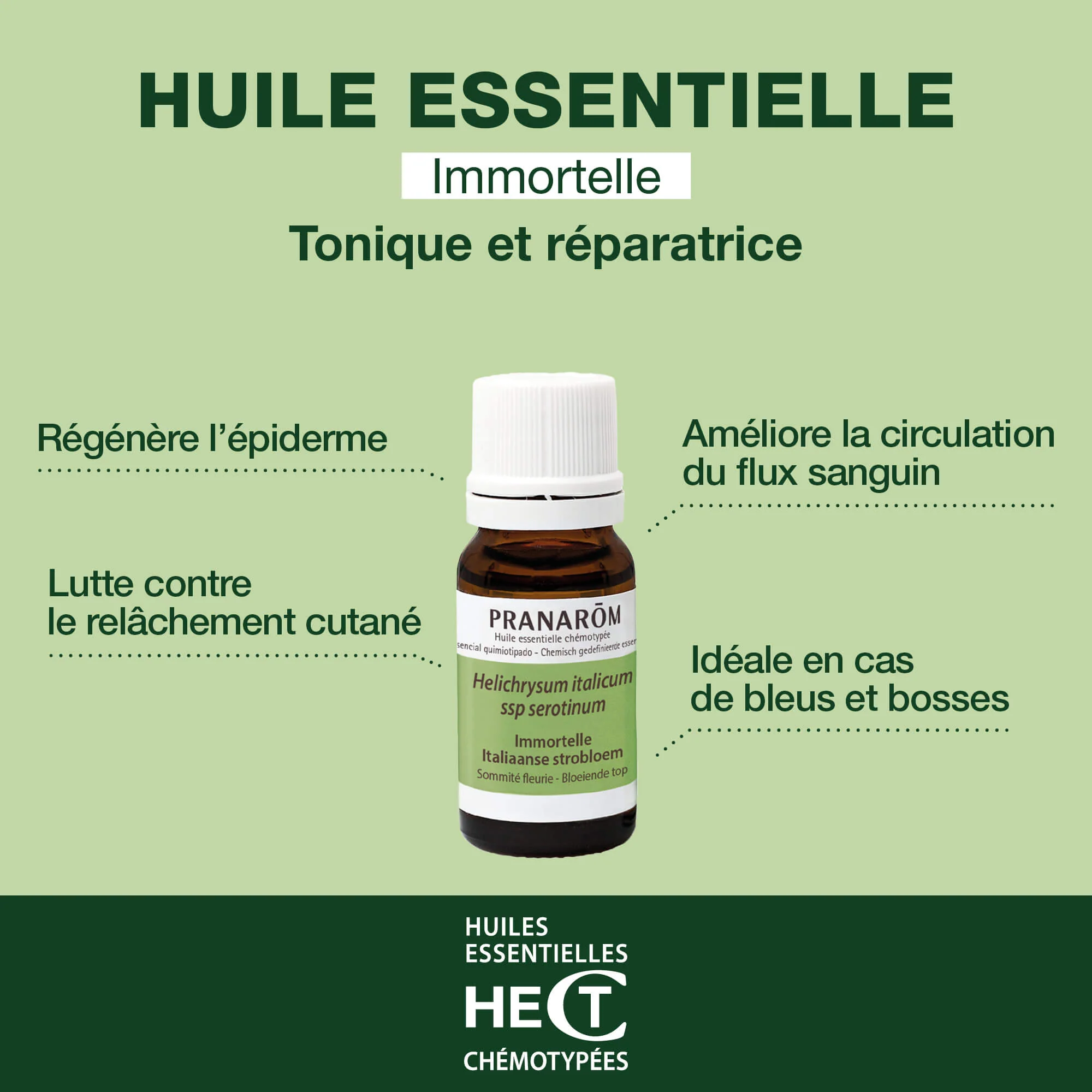 Huile Essentielle d'Immortelle (Hélichryse) - Image 2