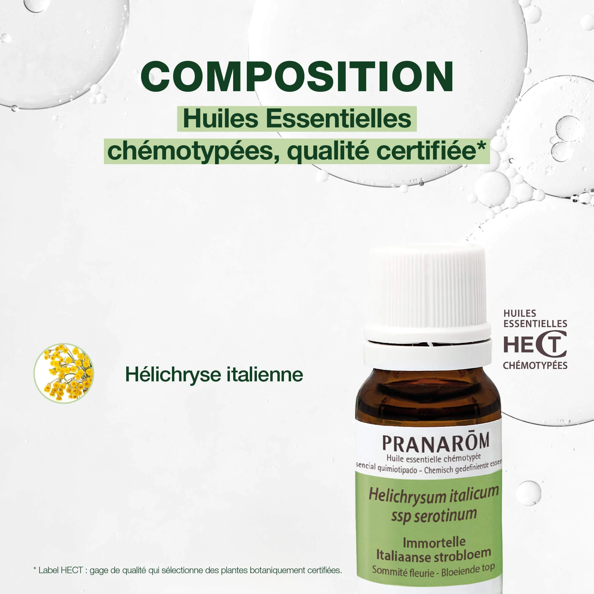 Huile Essentielle d'Immortelle (Hélichryse) - Image 3
