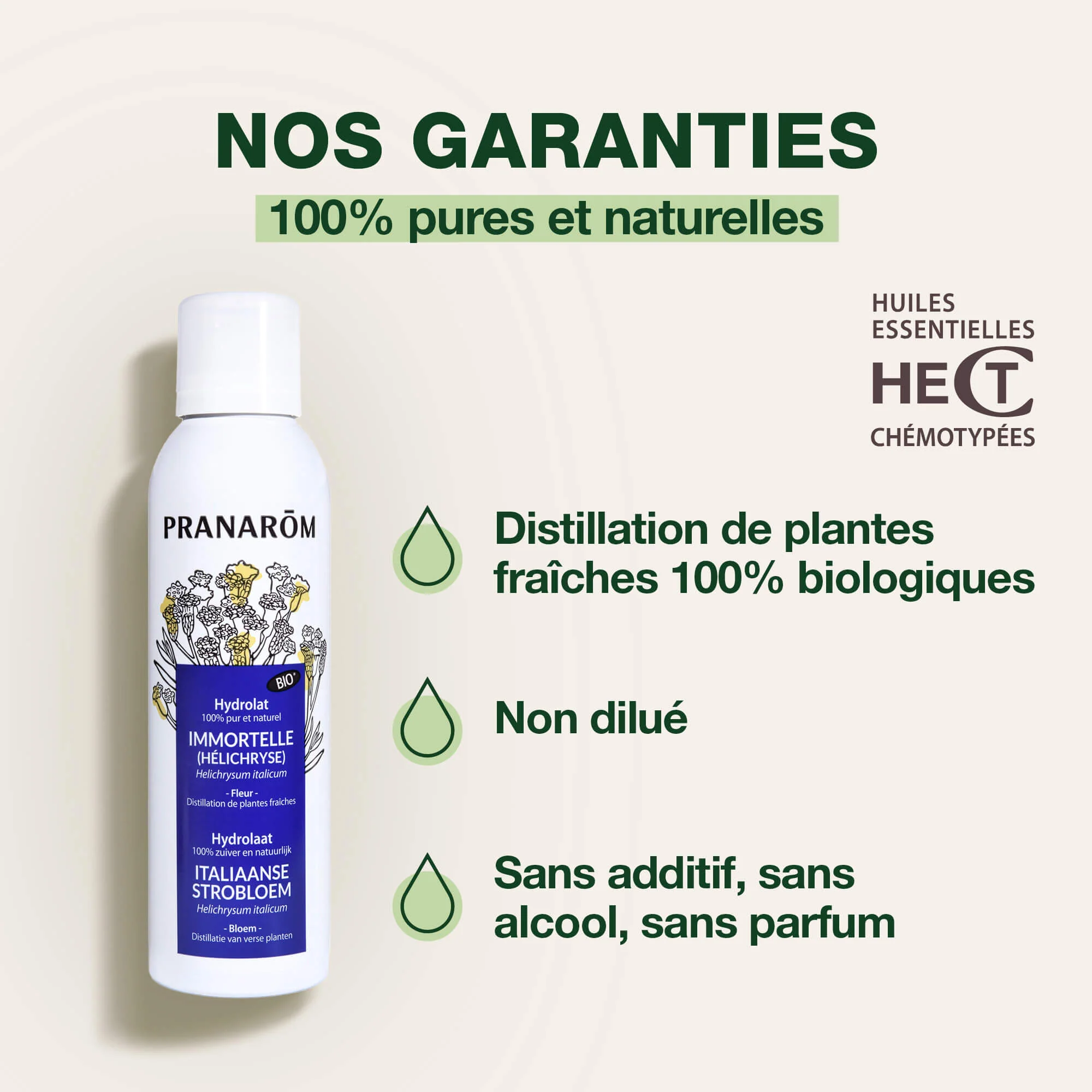 Hydrolat d'Immortelle (Hélichryse) - Bio - Image 3