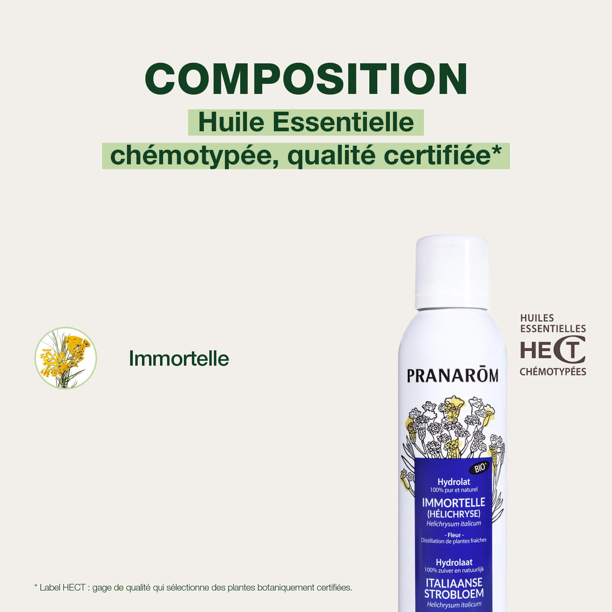 Hydrolat d'Immortelle (Hélichryse) - Bio - Image 4