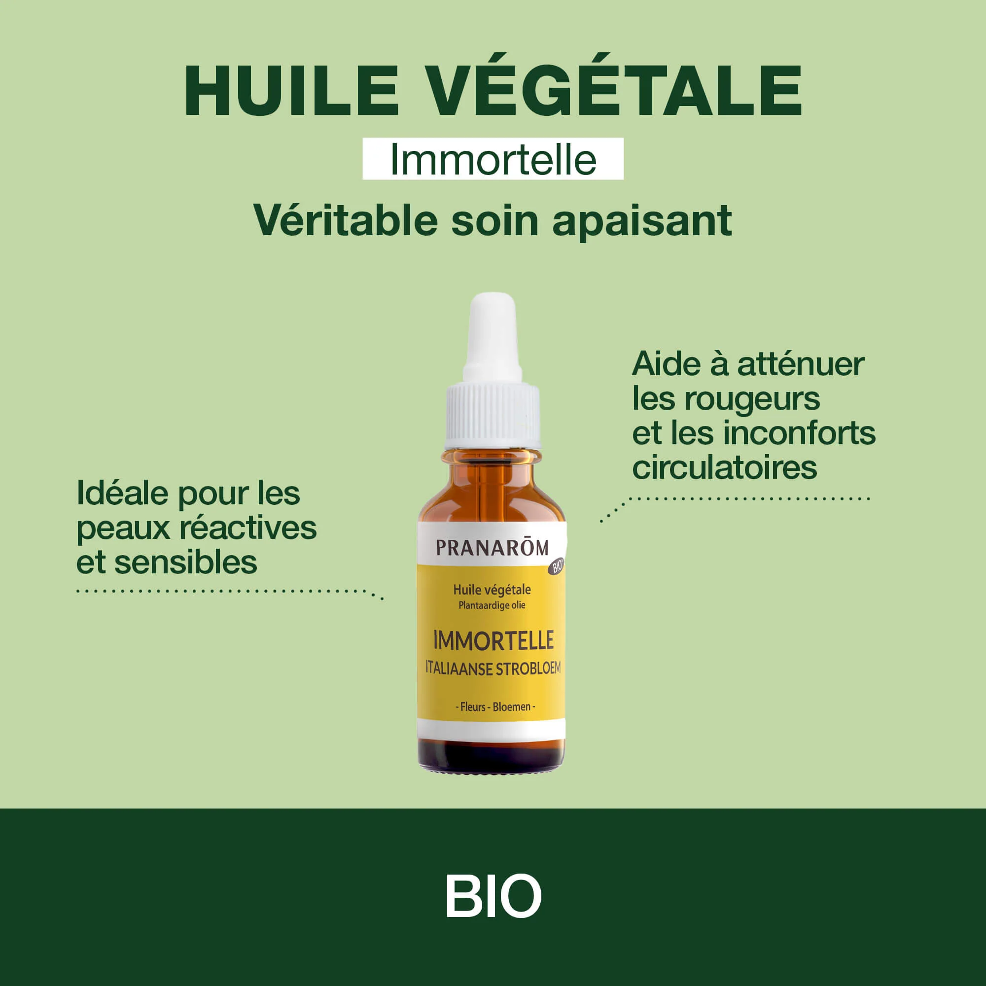 Huile Végétale d'Immortelle (Hélichryse) - Bio - Image 2